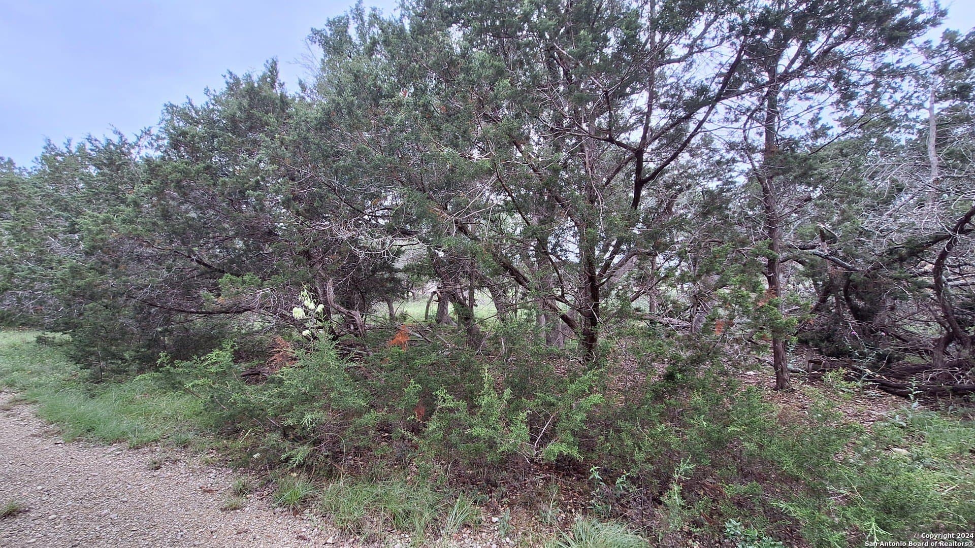 1.81 acres in Comal County - photo 25