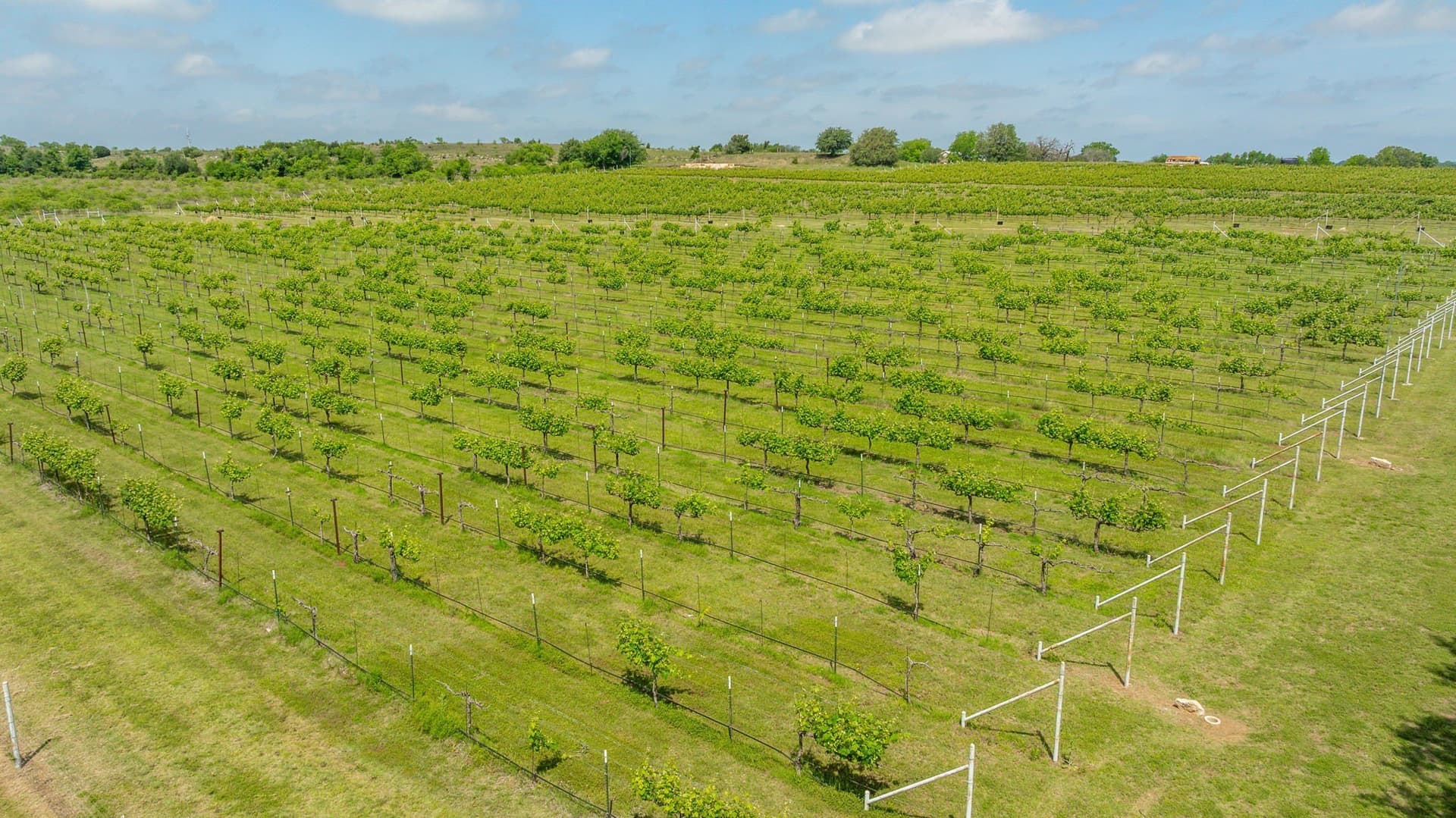 20.09 acres in Erath County - photo 24