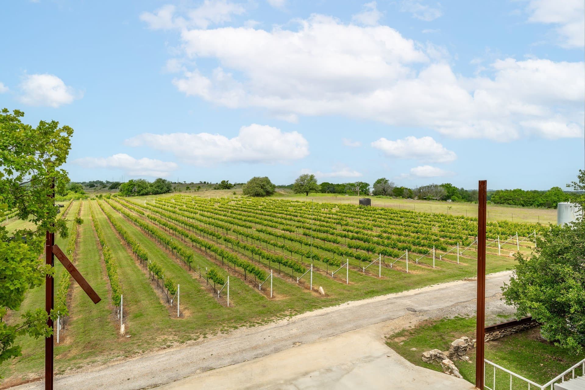 20.09 acres in Erath County - photo 19