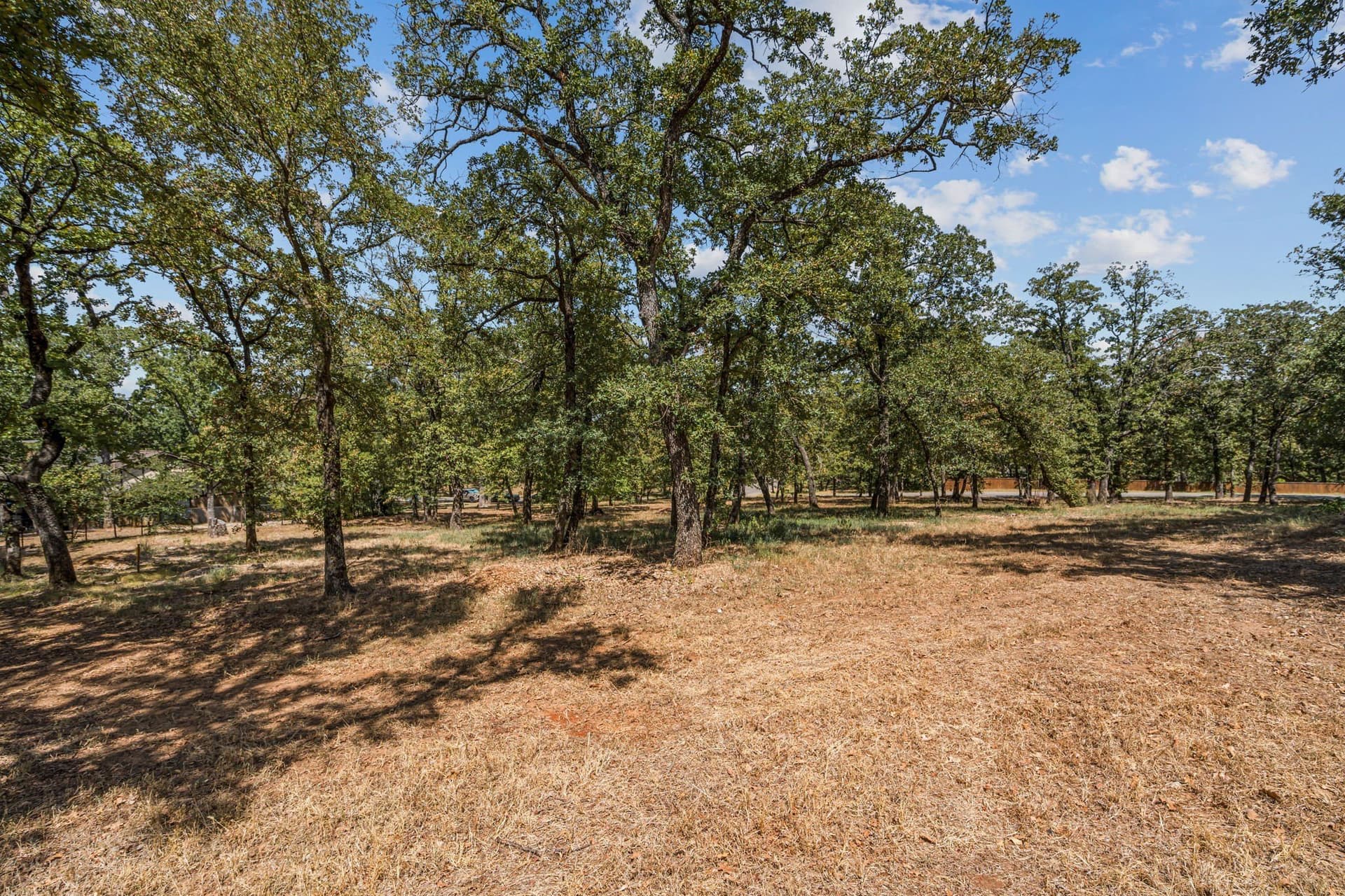 1.06 acres in Denton County - photo 5