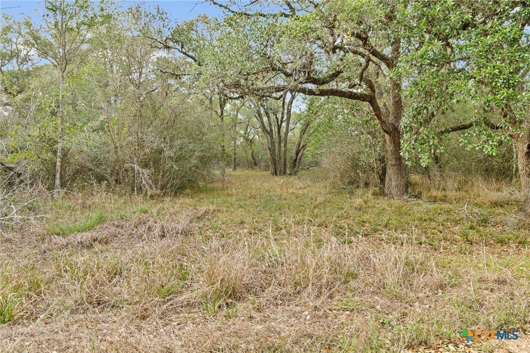 12.33 acres in Jackson County - photo 2