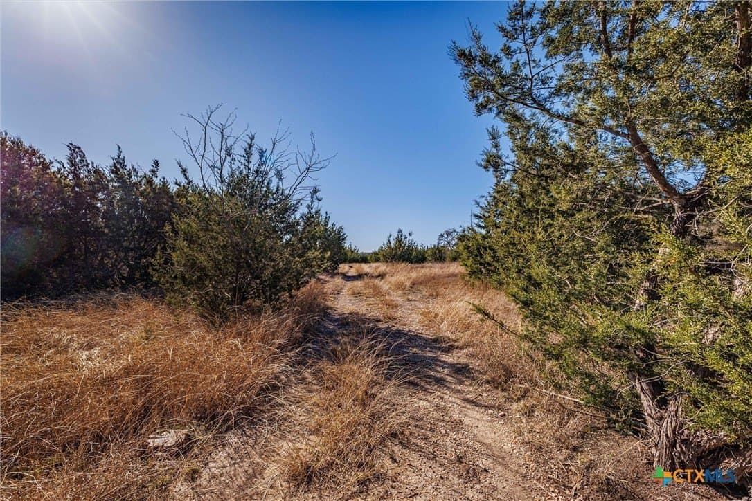 95.91 acres in Coryell County - photo 29