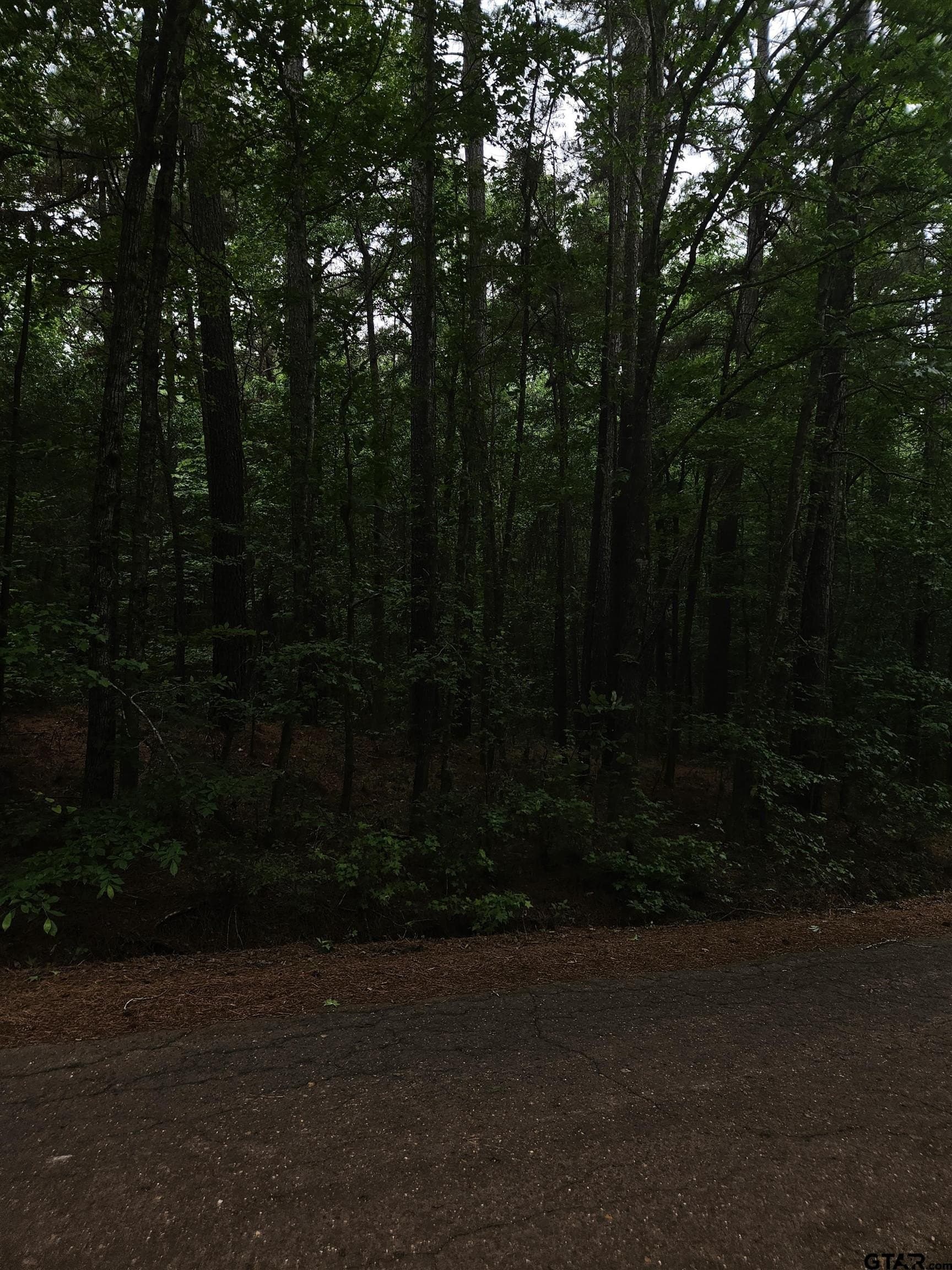 8.84 acres in Smith County - photo 13