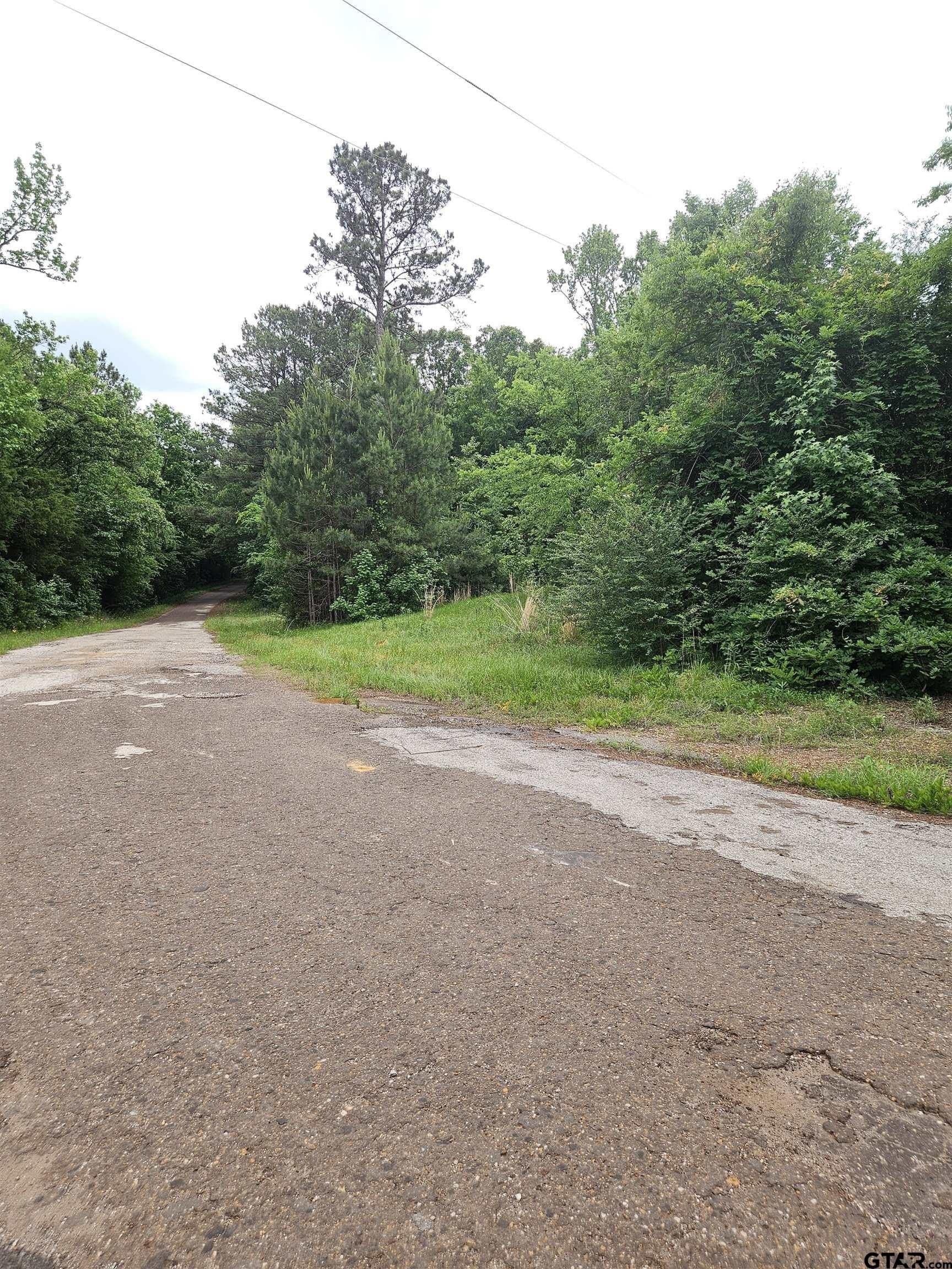 8.84 acres in Smith County - photo 7