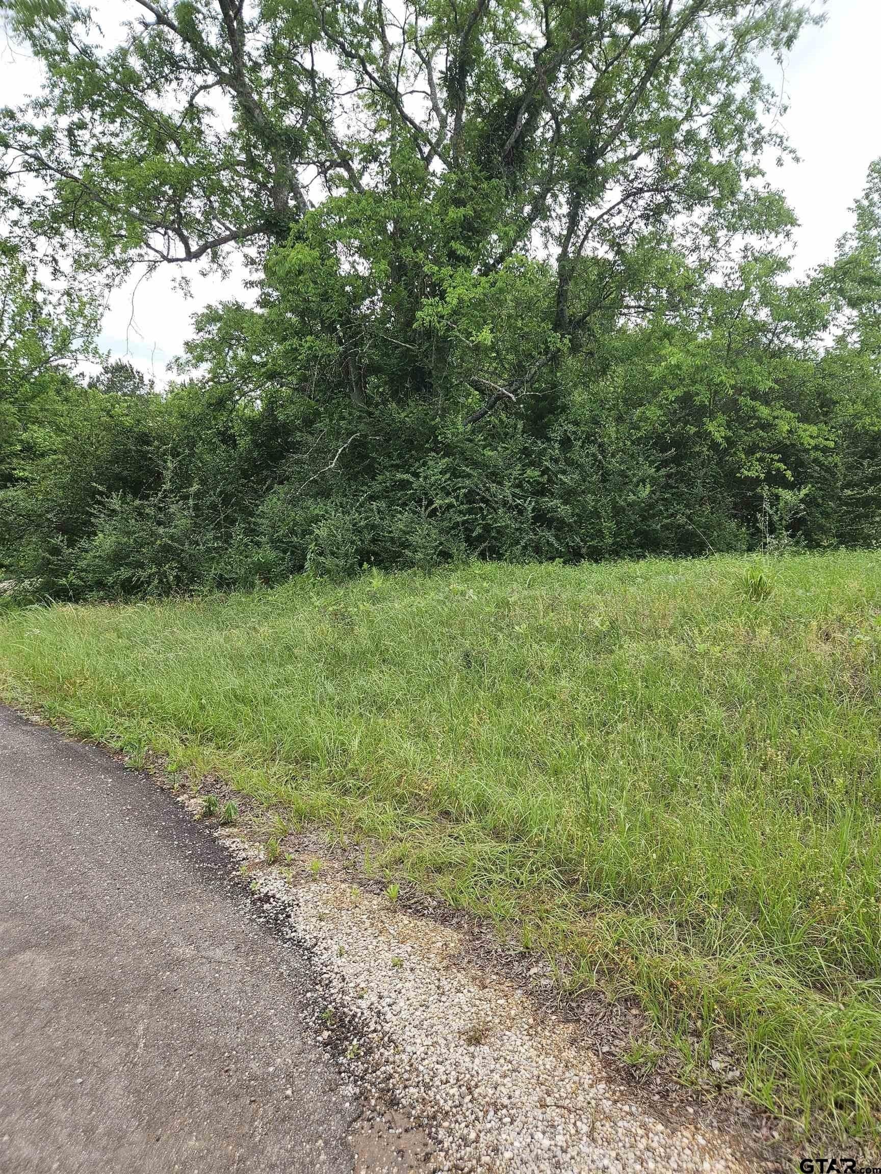 8.84 acres in Smith County - photo 6