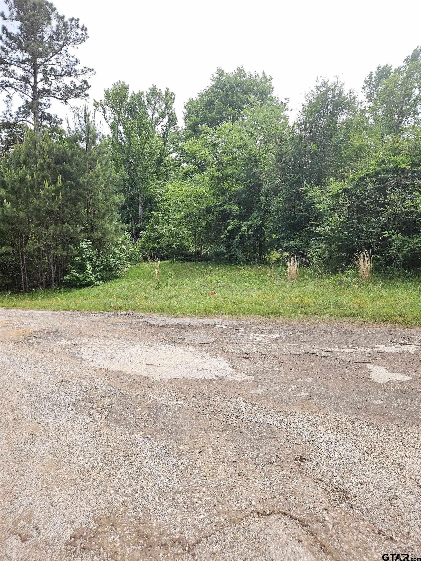 8.84 acres in Smith County - photo 10
