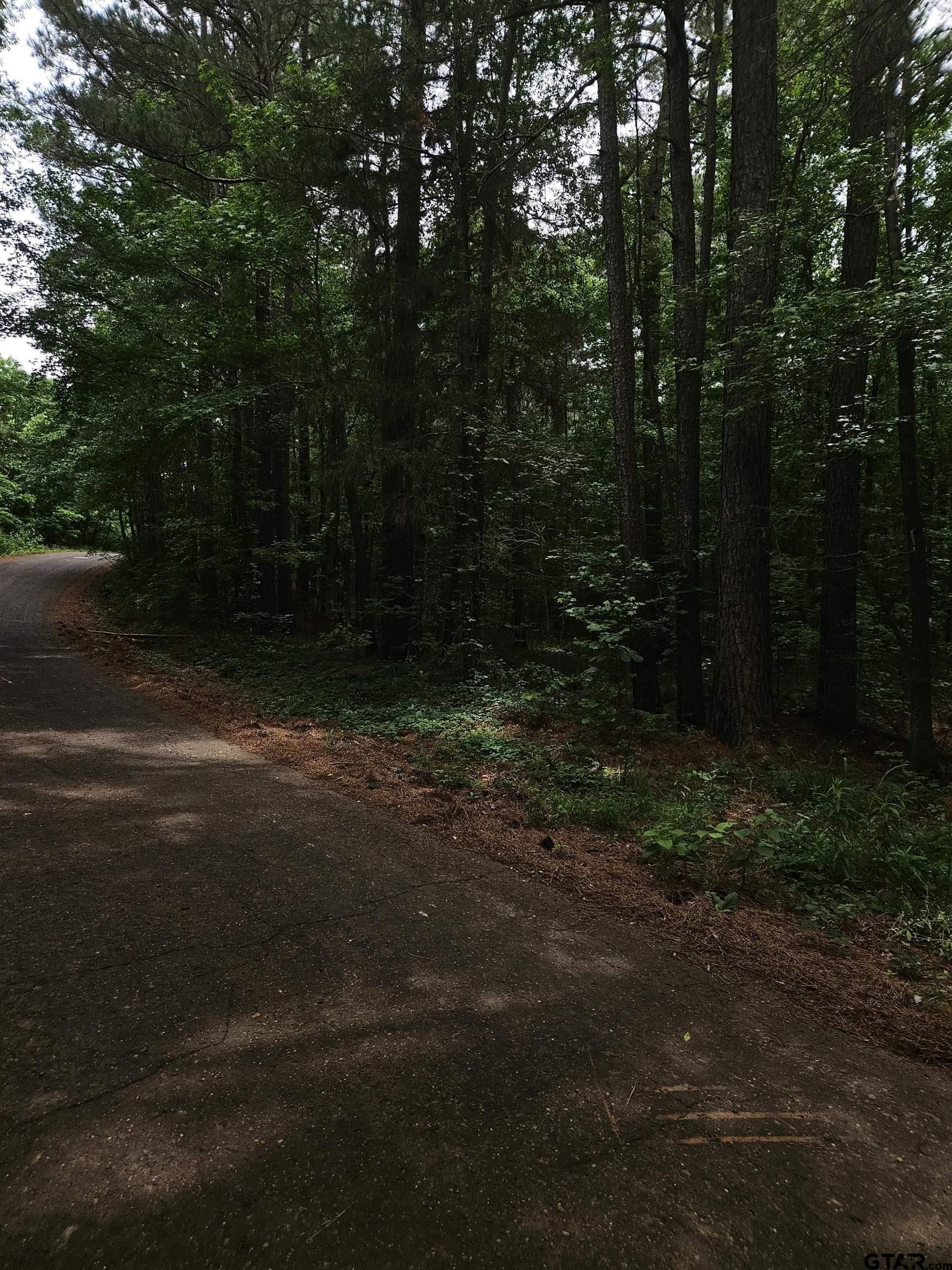 8.84 acres in Smith County - photo 12
