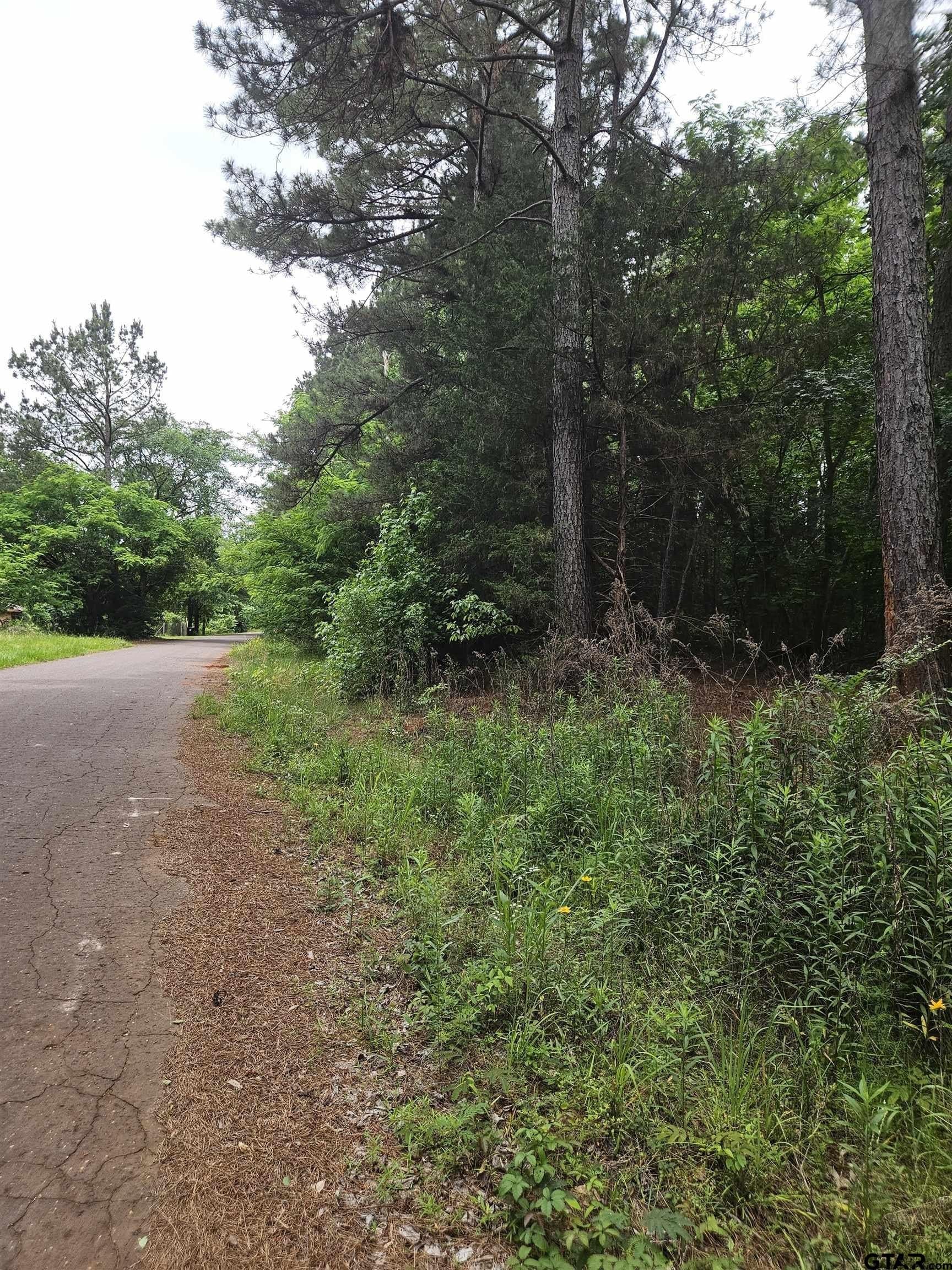8.84 acres in Smith County - photo 8