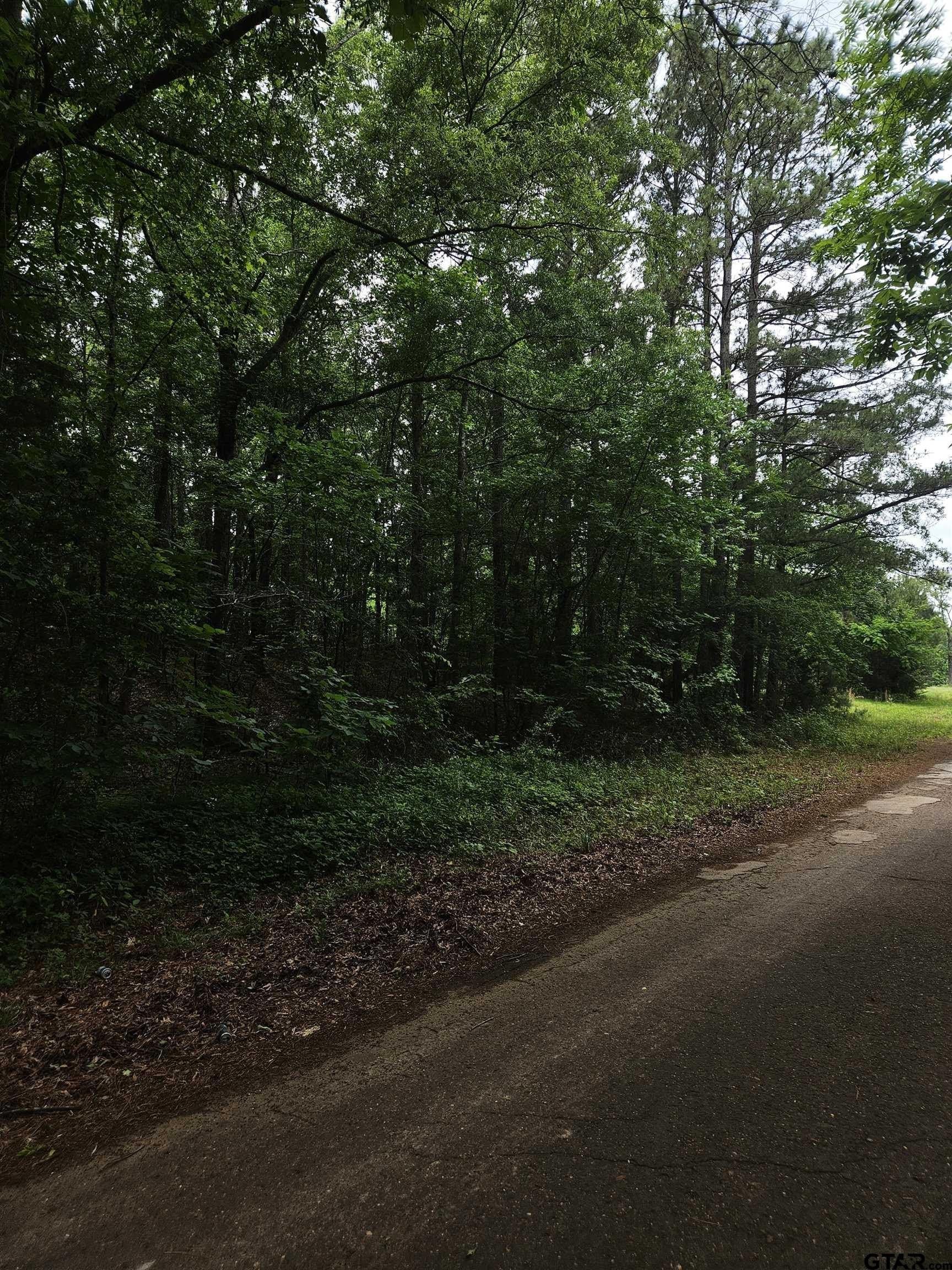 8.84 acres in Smith County - photo 11