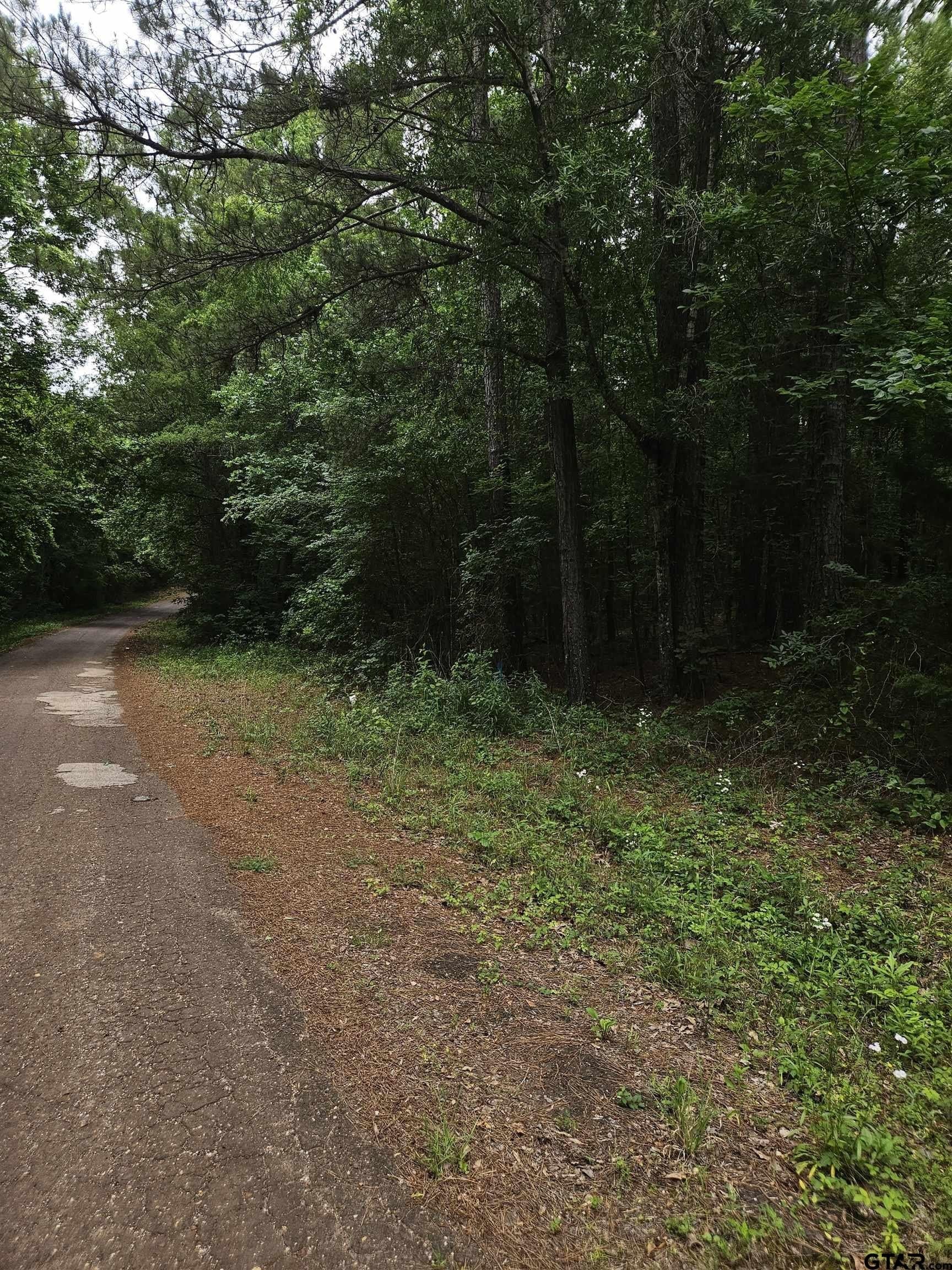 8.84 acres in Smith County - photo 15