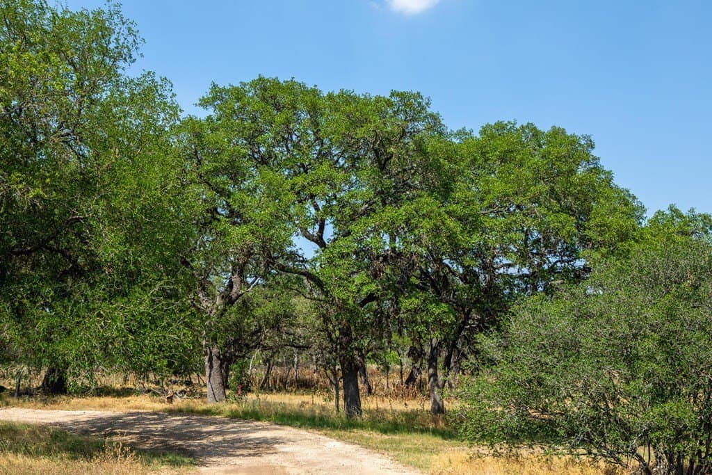 13.61 acres in Kerr County - photo 35