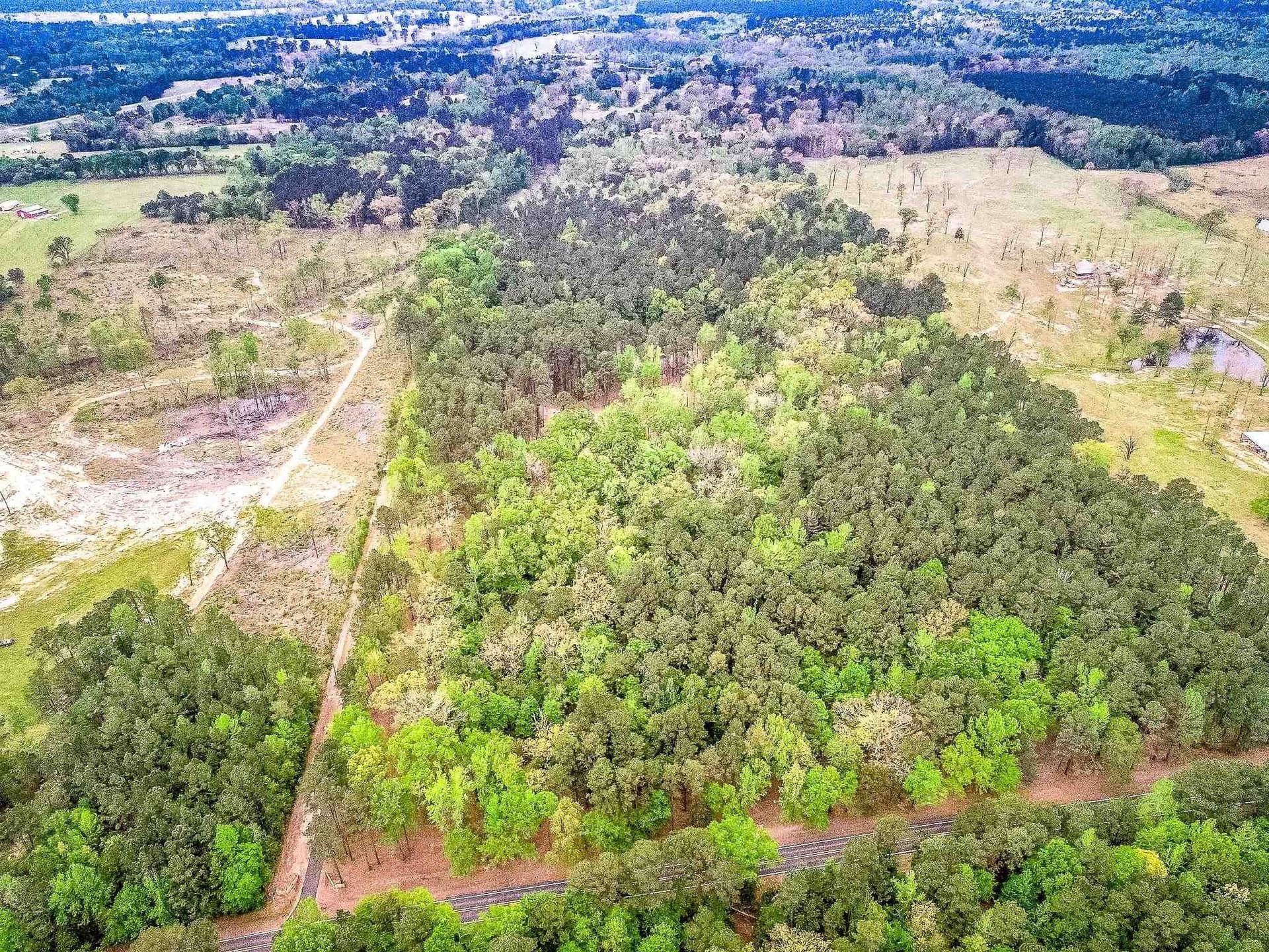 50.25 acres in Upshur County gallery image 4