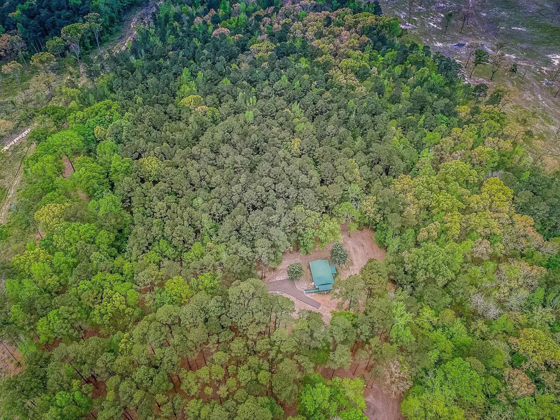 50.25 acres in Upshur County gallery image 3