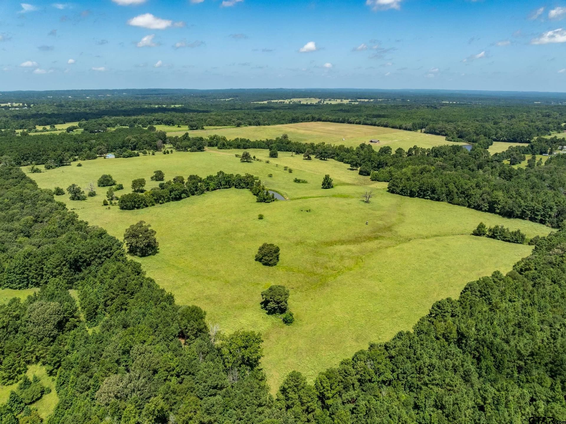 94.15 acres in Anderson County gallery image 2