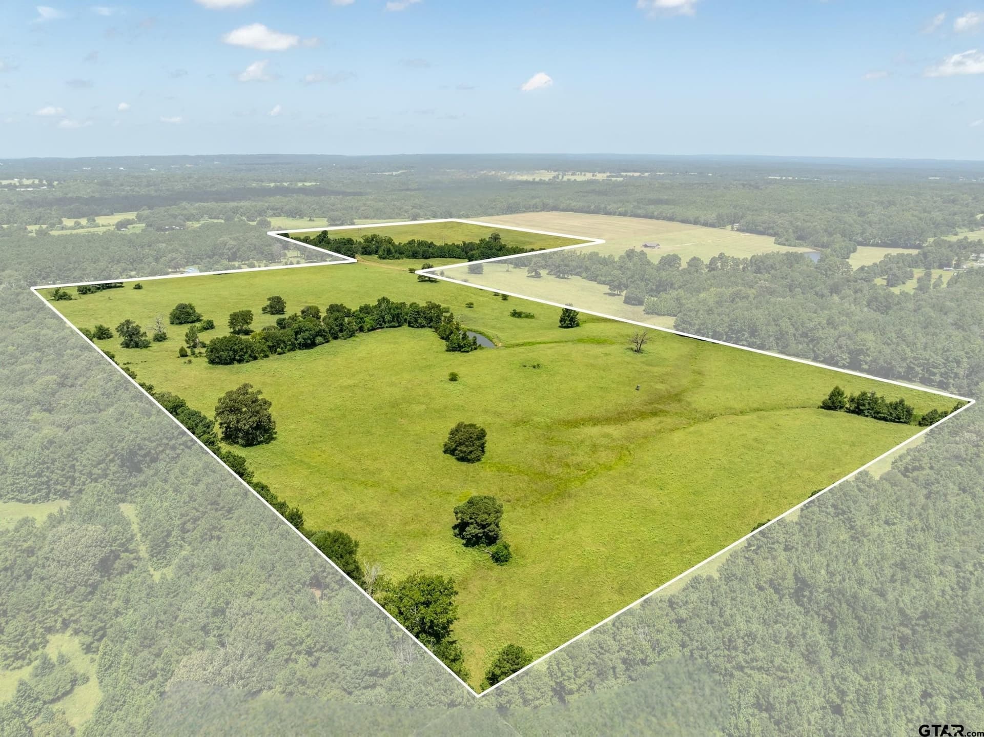 94.15 acres in Anderson County