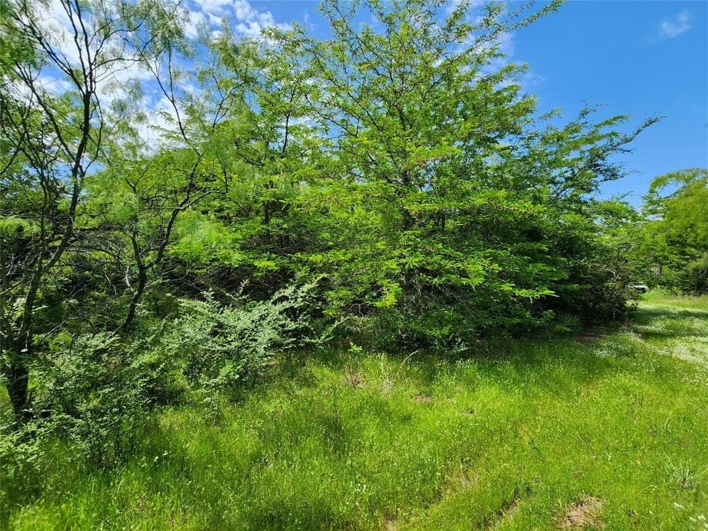 67.74 acres in Hopkins County gallery image 4