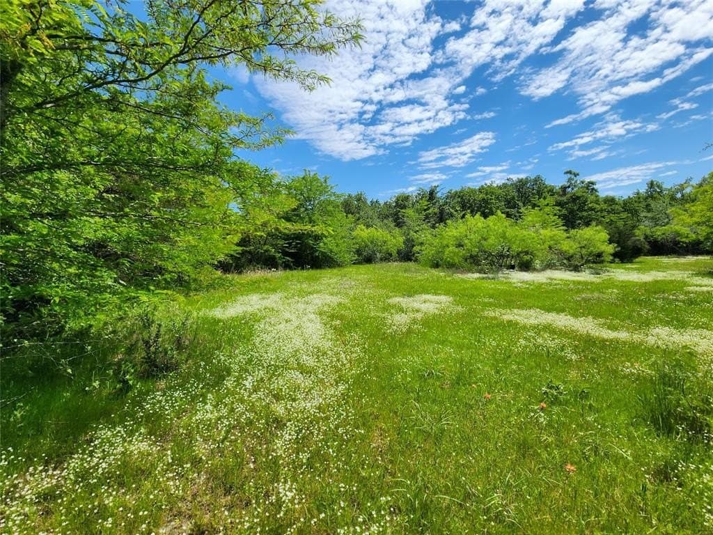 67.74 acres in Hopkins County featured view