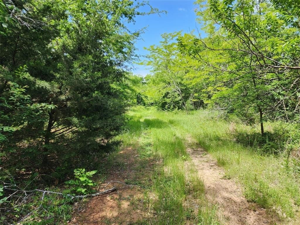 67.74 acres in Hopkins County gallery image 2