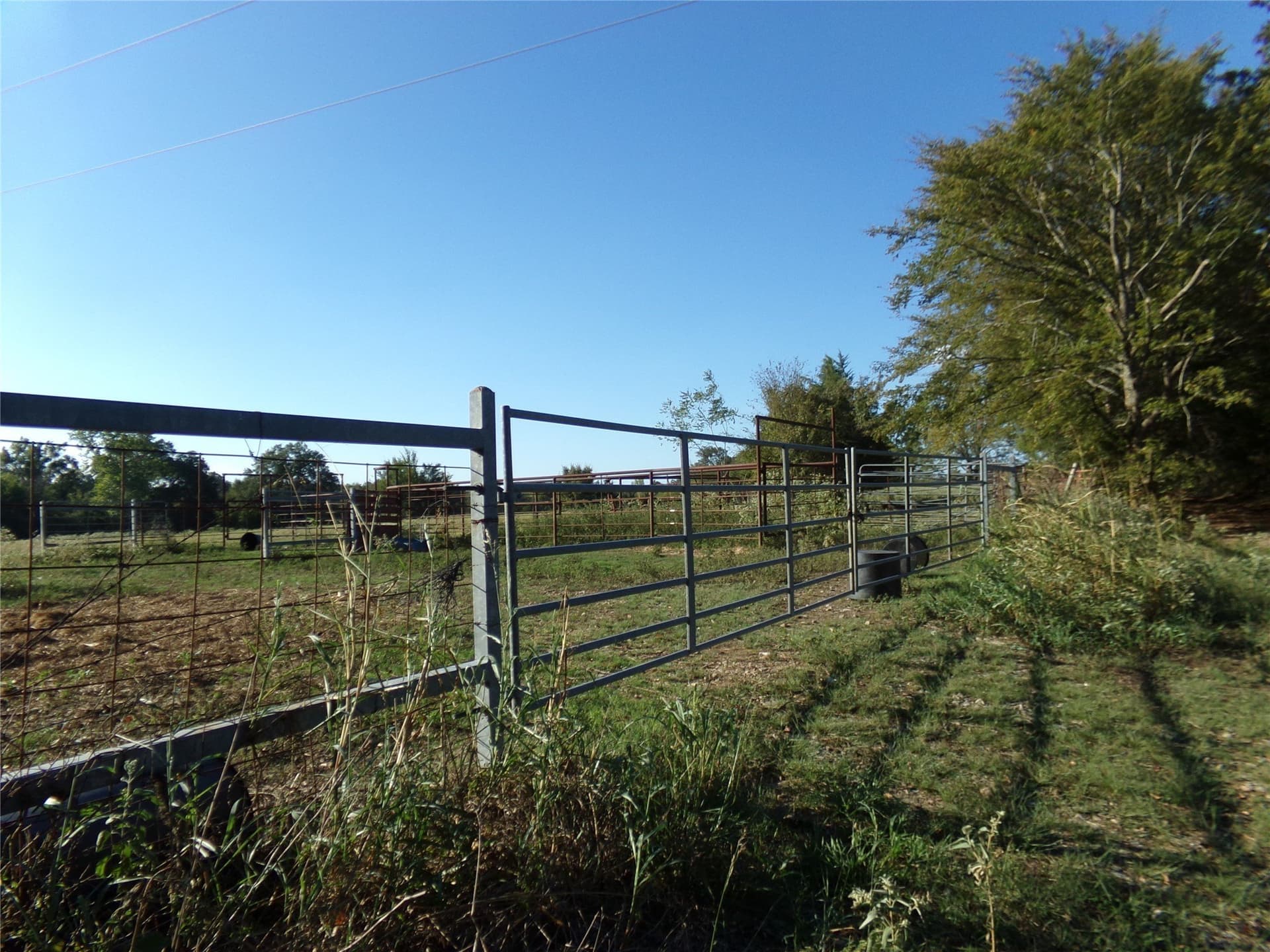231.79 acres in Lamar County - photo 13