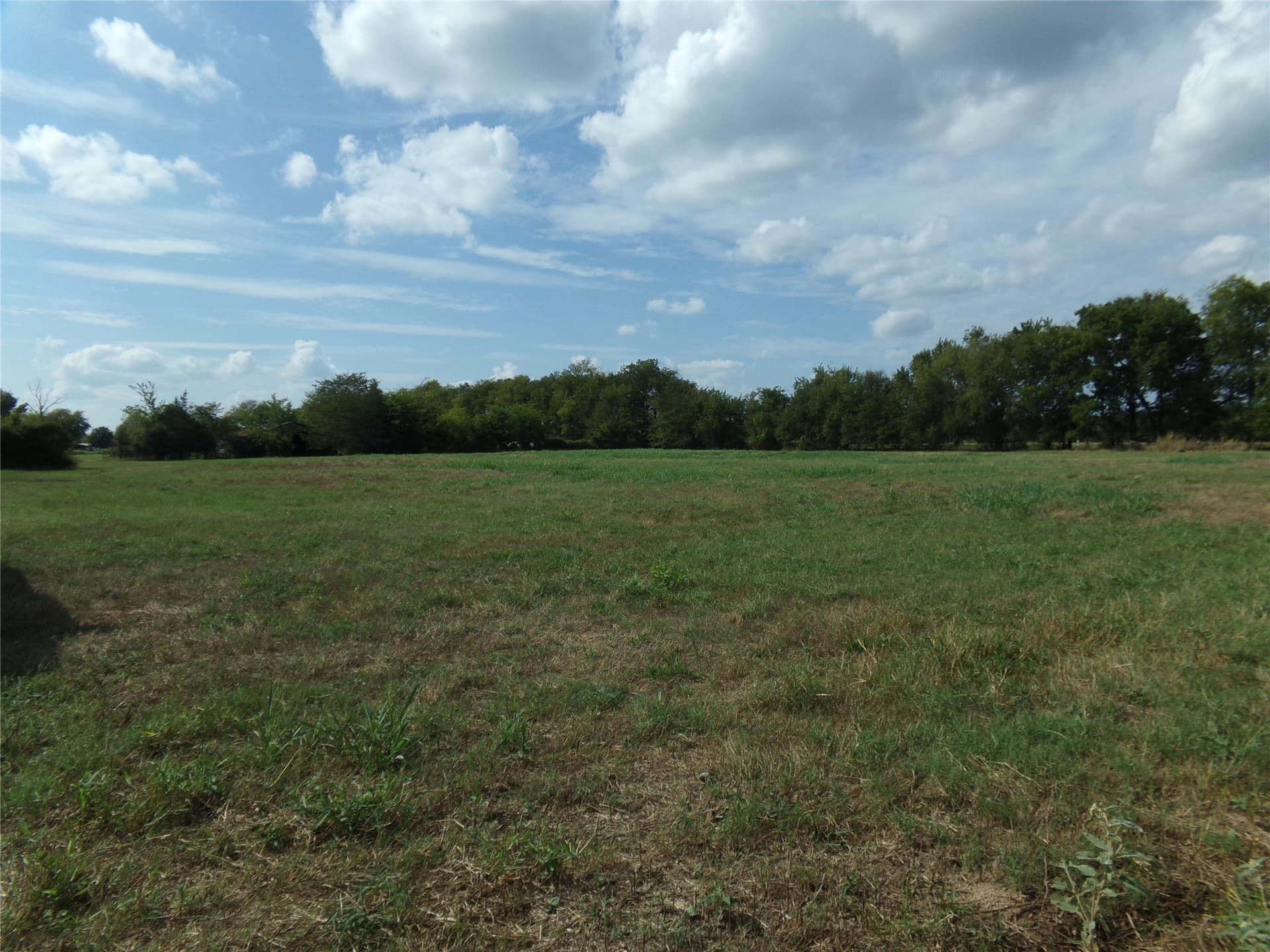 231.79 acres in Lamar County - photo 9