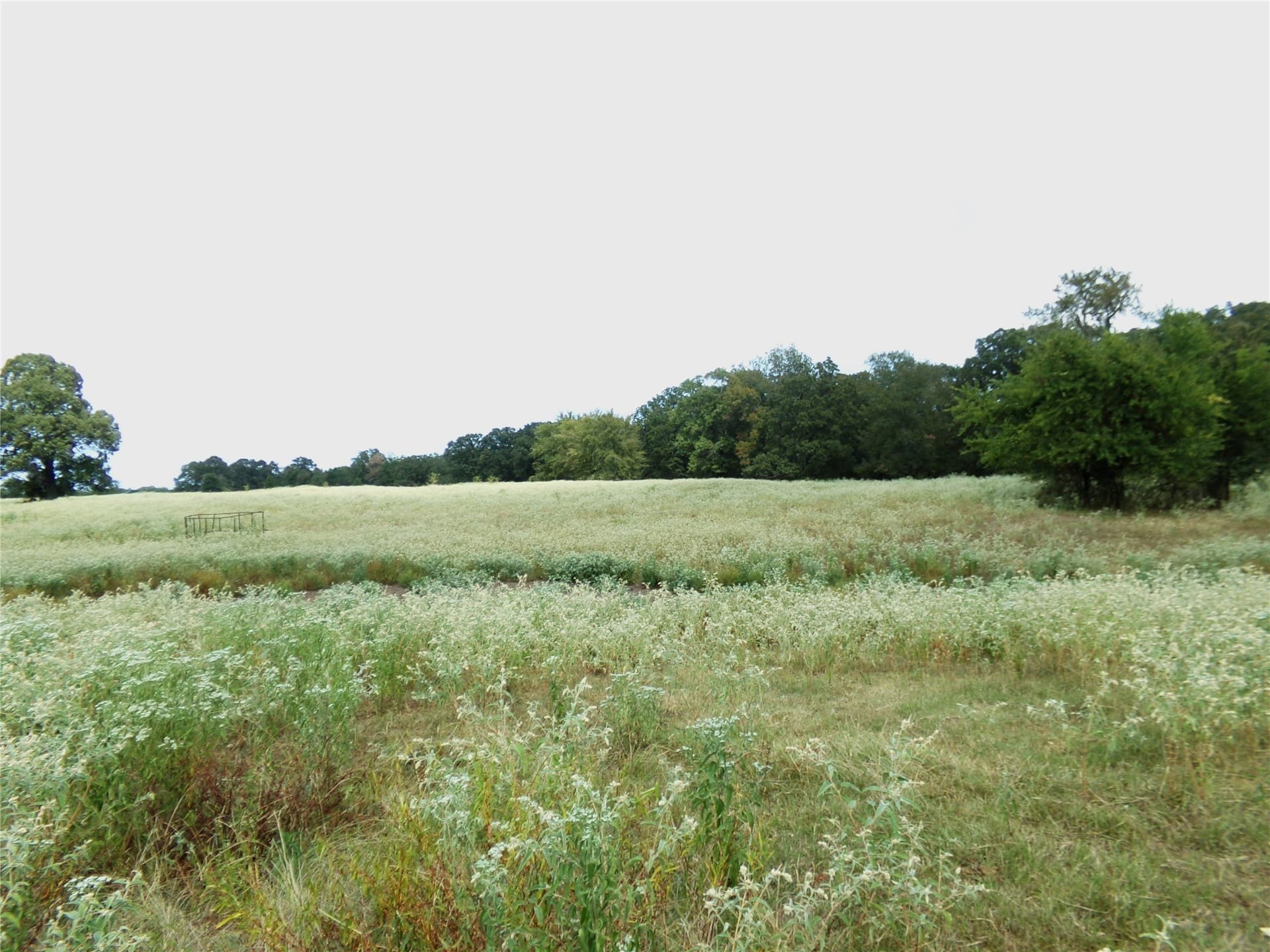 231.79 acres in Lamar County - photo 18