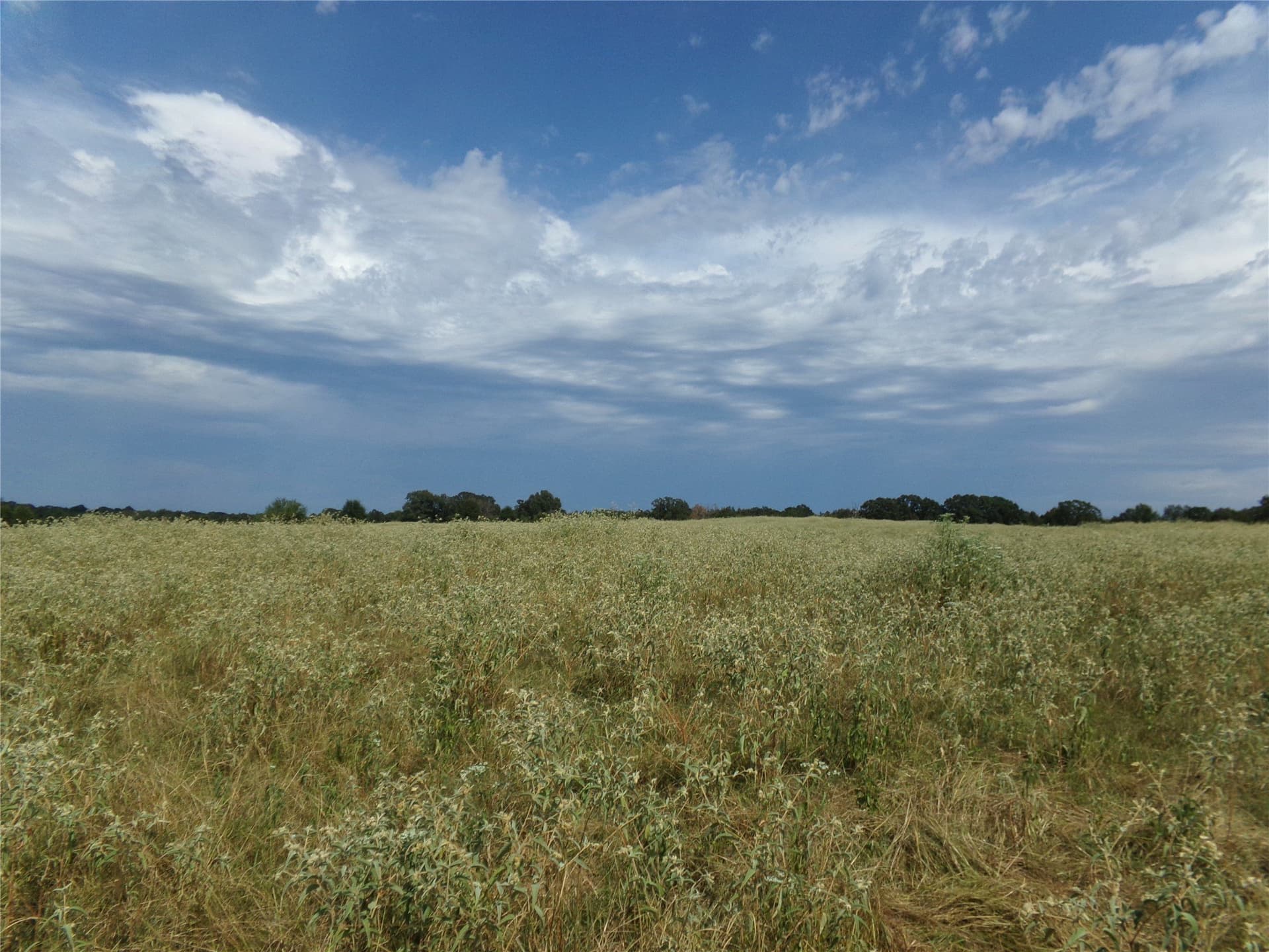 231.79 acres in Lamar County - photo 21