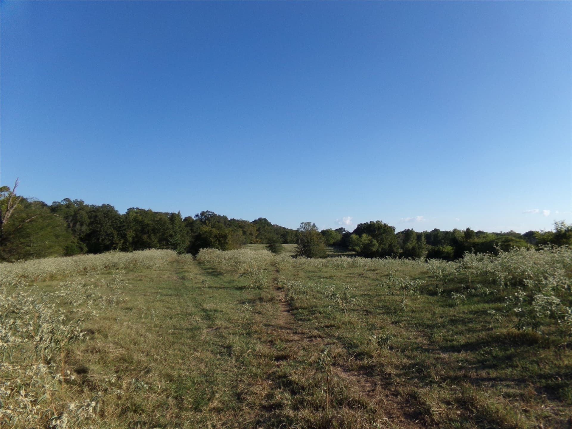 231.79 acres in Lamar County - photo 15