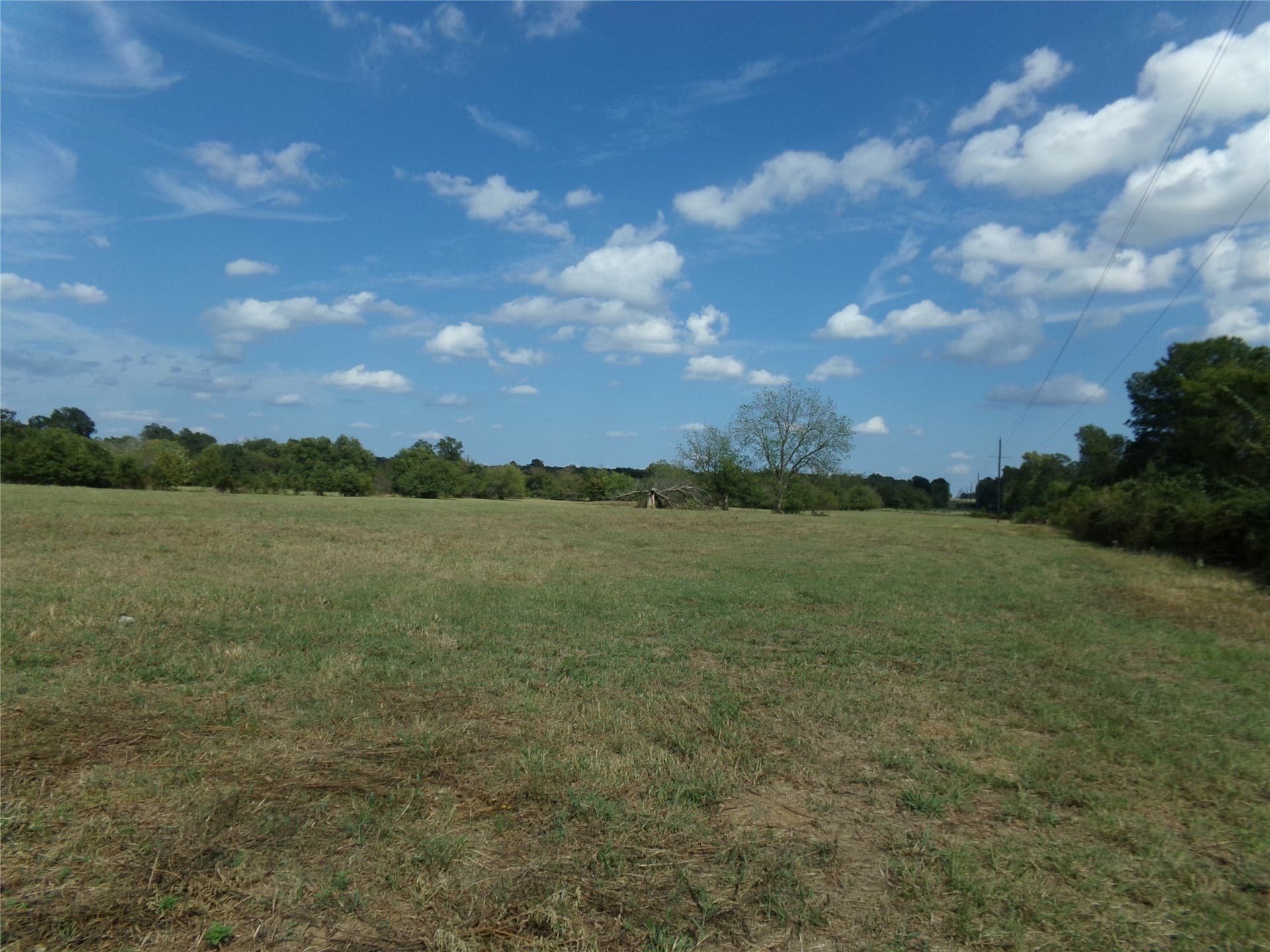 231.79 acres in Lamar County featured view