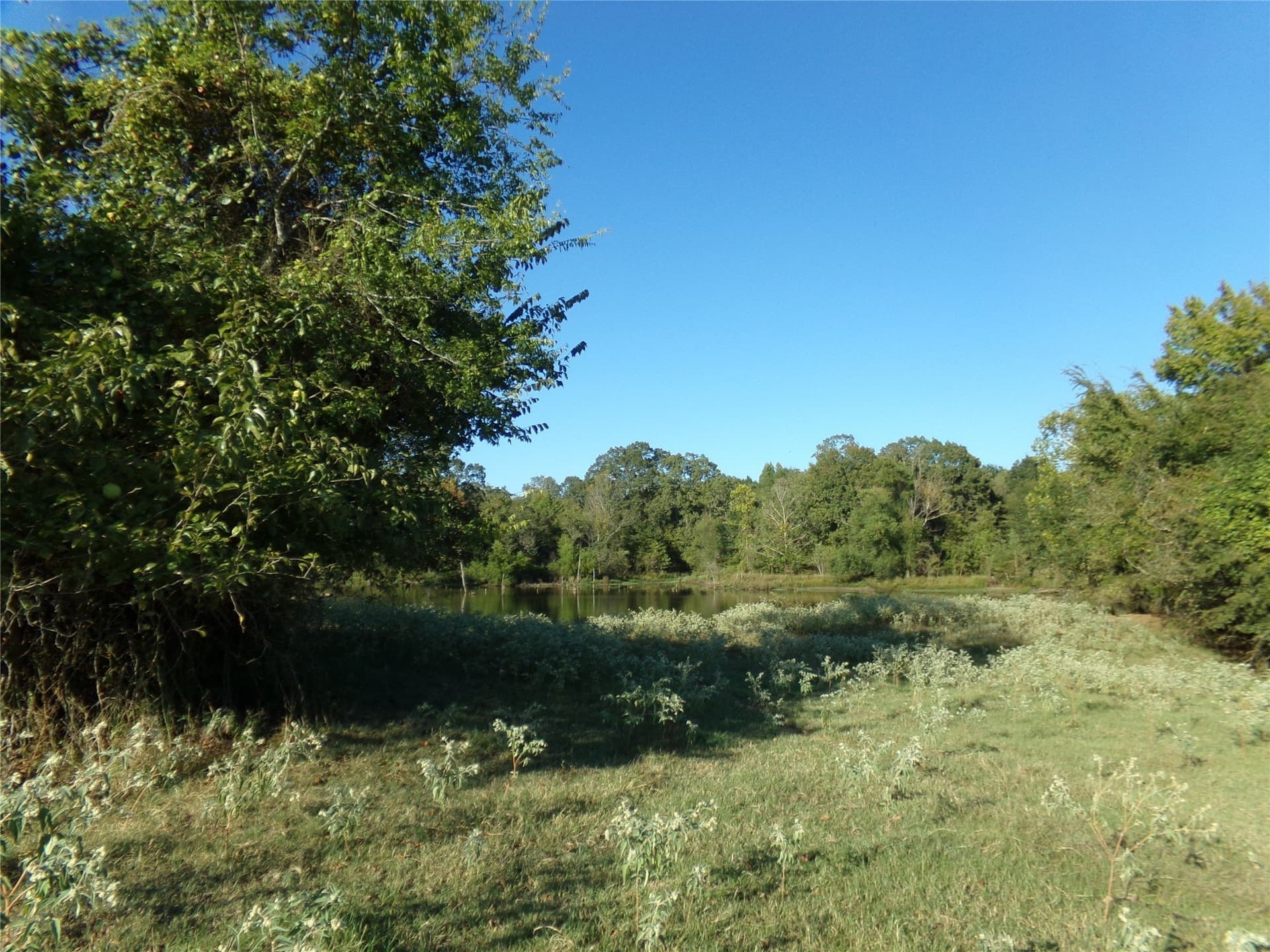 231.79 acres in Lamar County - photo 14