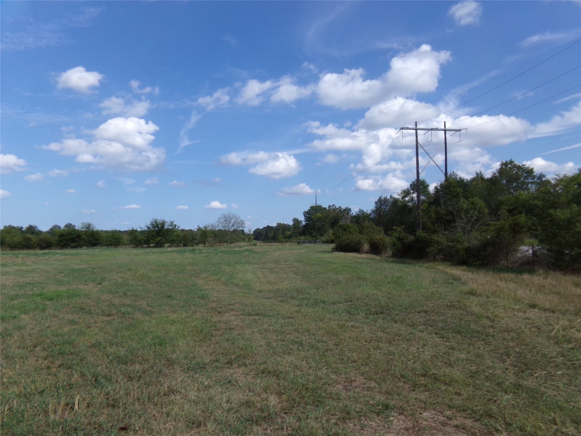 231.79 acres in Lamar County - photo 8
