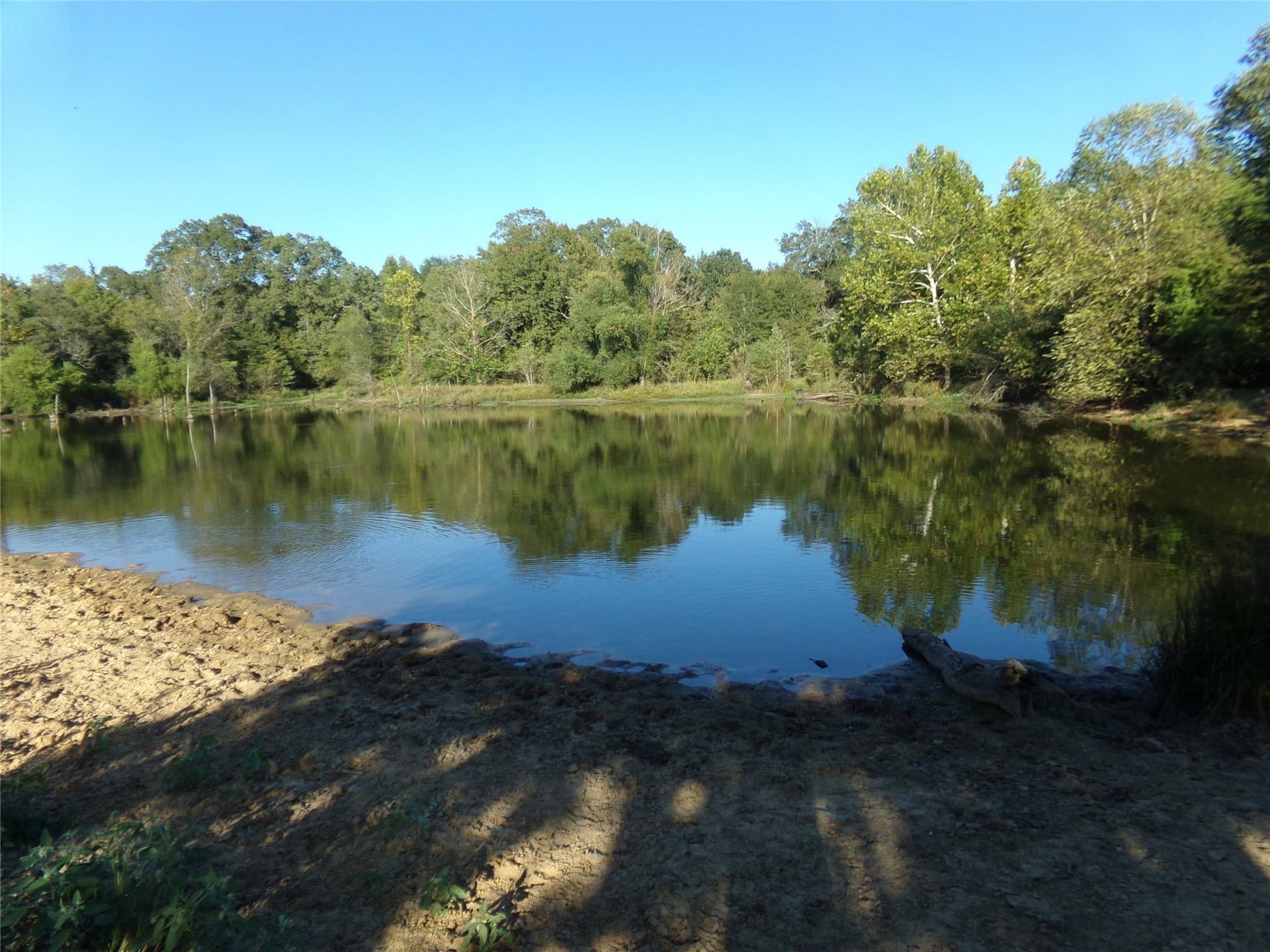 231.79 acres in Lamar County gallery image 2