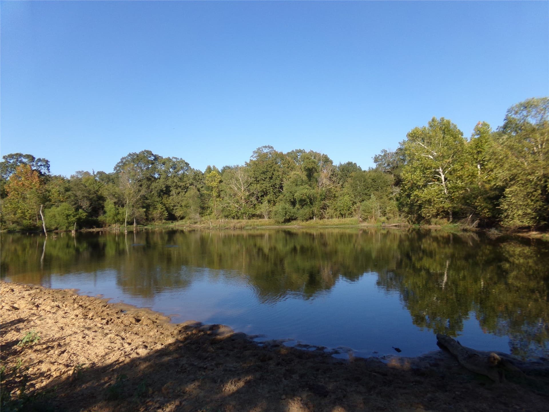 231.79 acres in Lamar County - photo 20