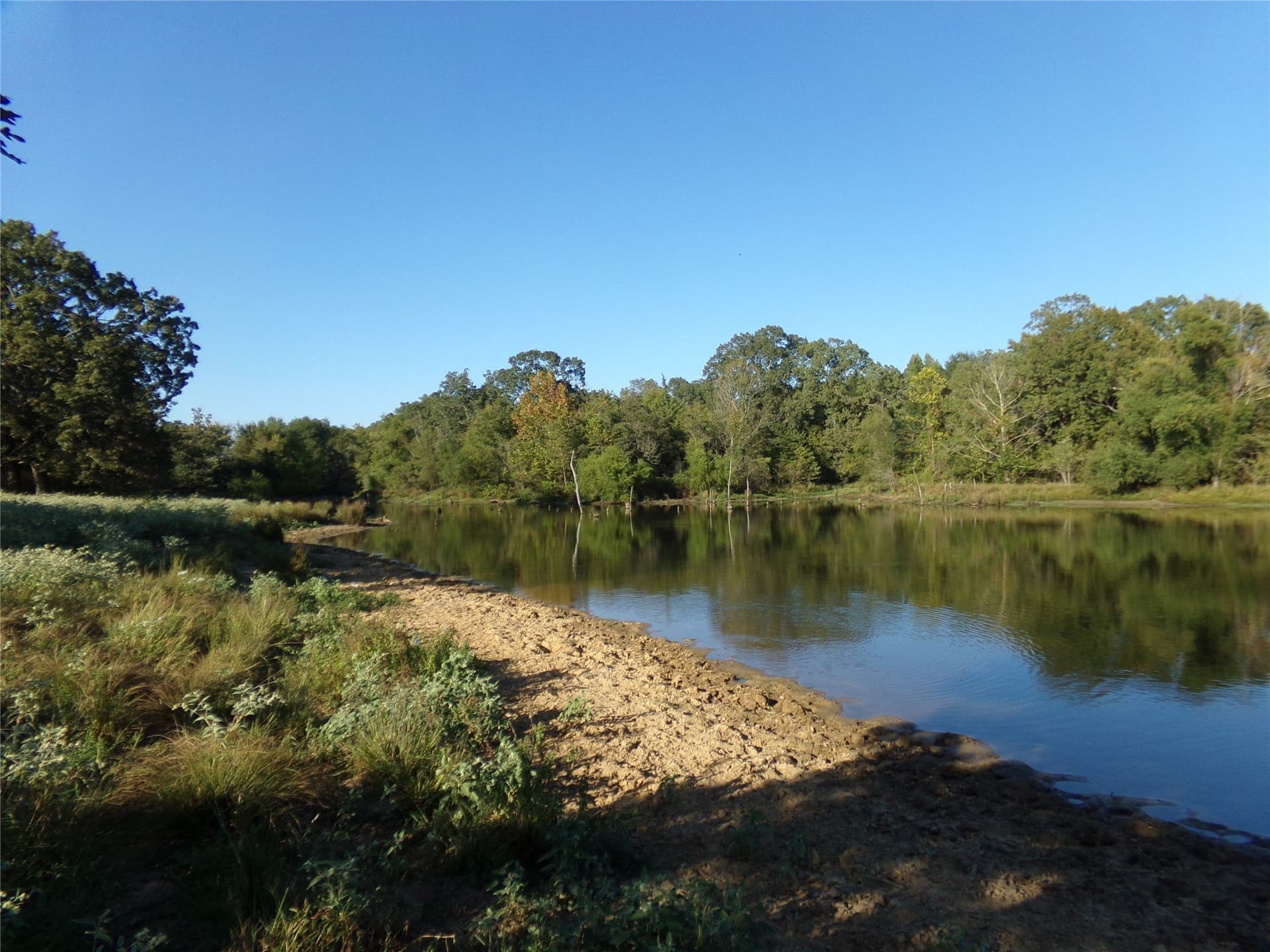 231.79 acres in Lamar County gallery image 3