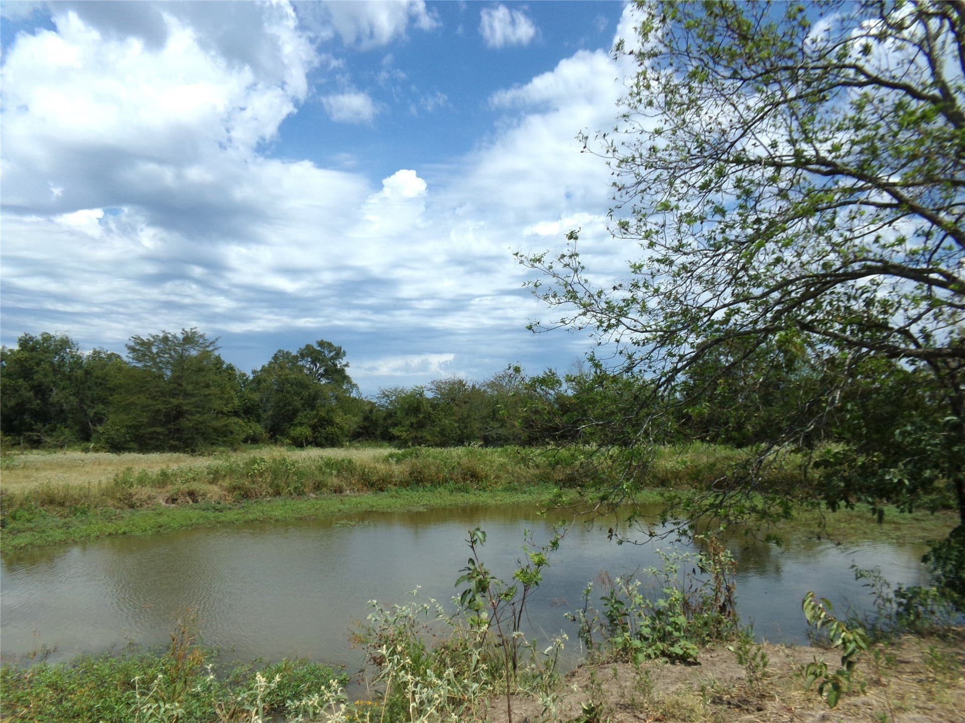 231.79 acres in Lamar County - photo 16