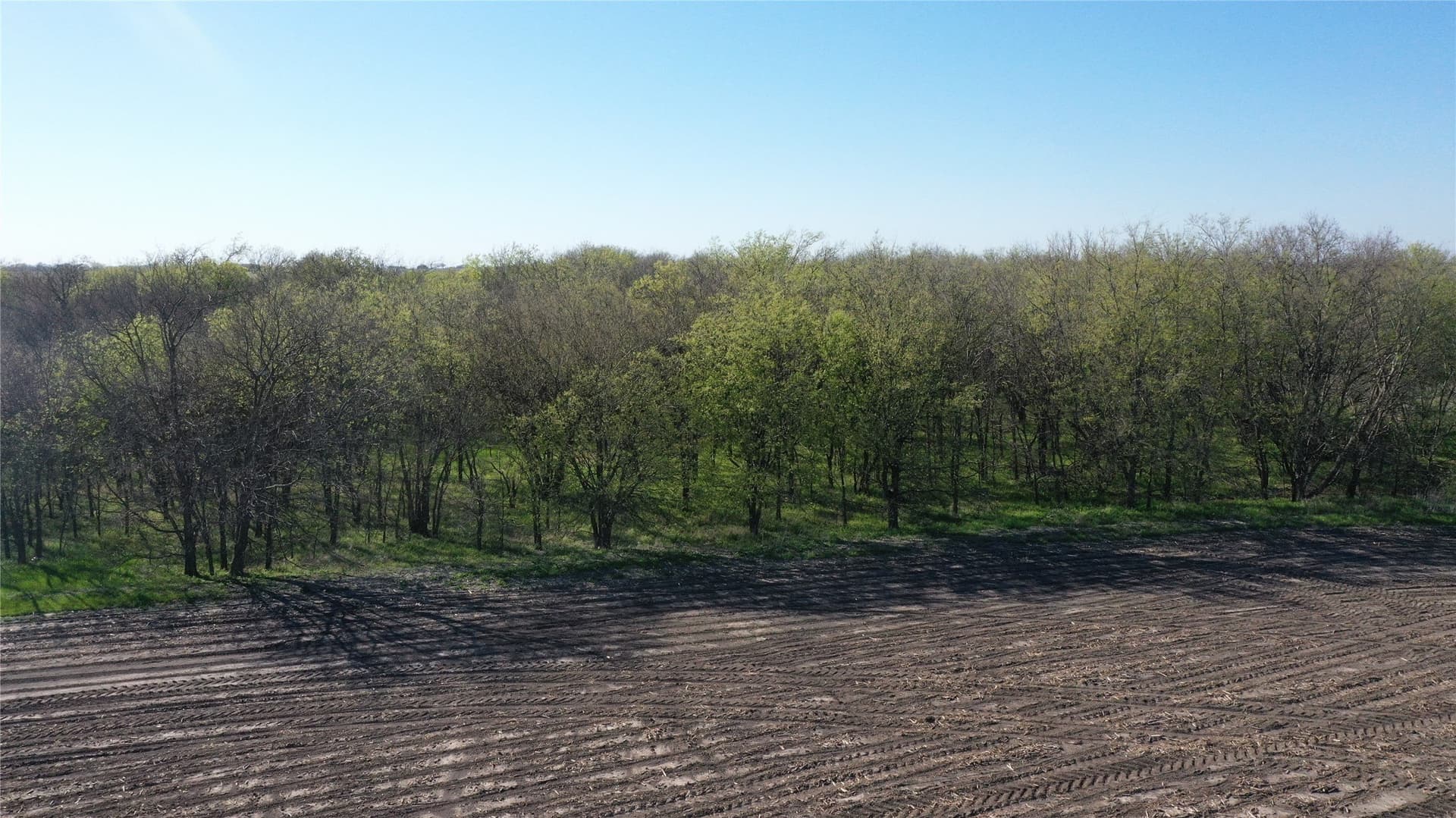 80.91 acres in Grayson County - photo 21