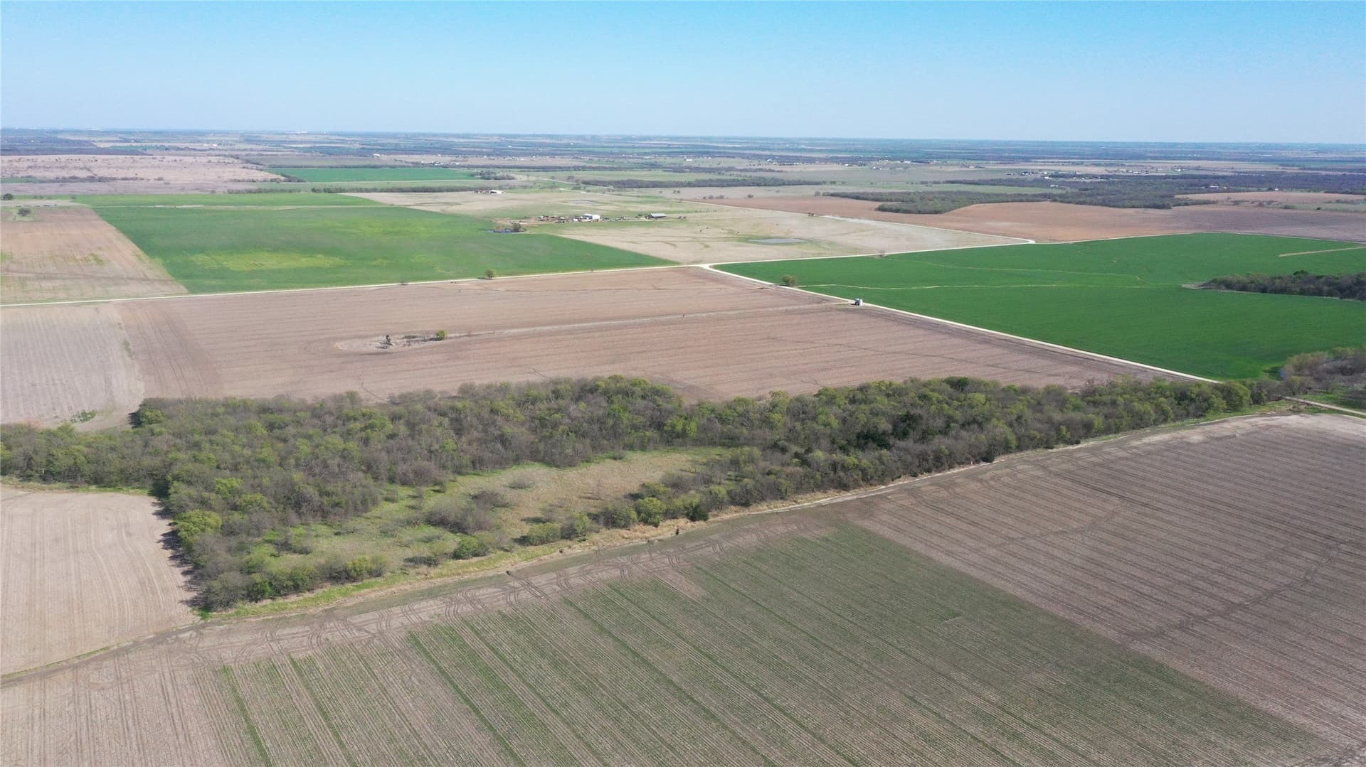 80.91 acres in Grayson County - photo 2