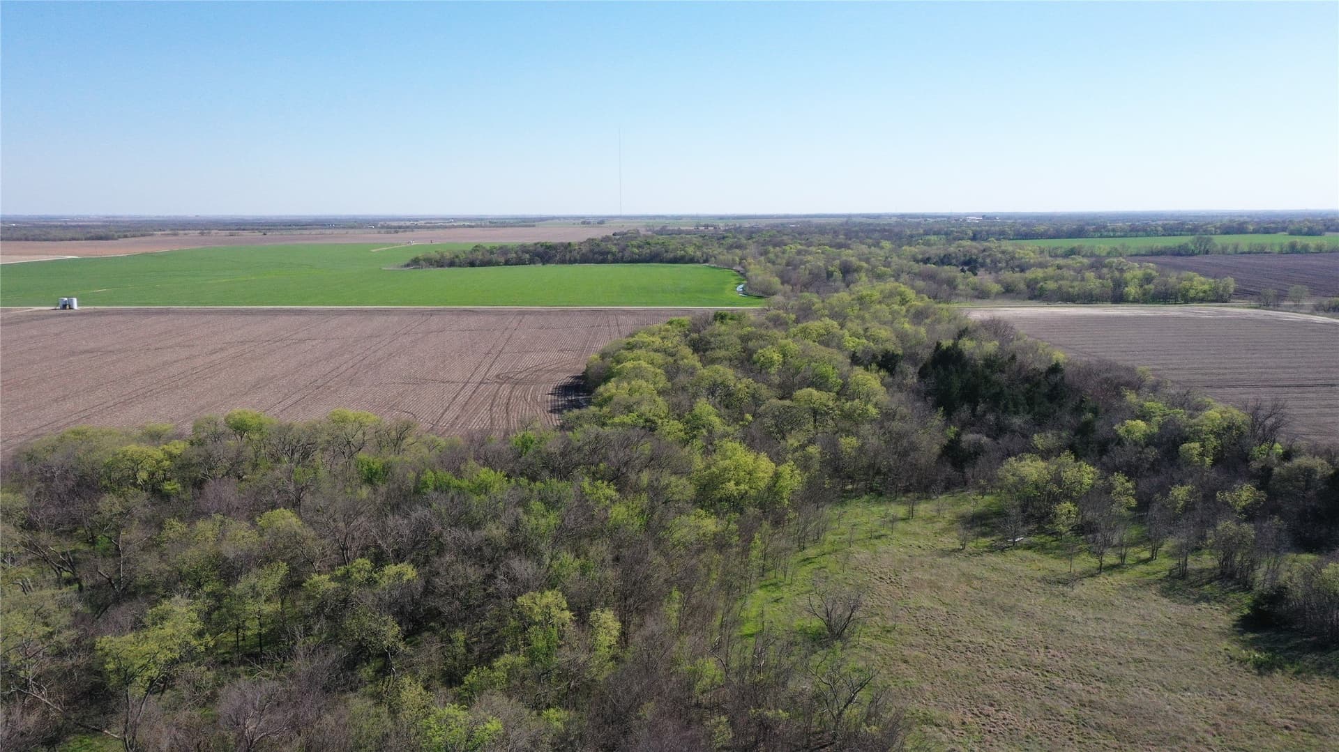 80.91 acres in Grayson County - photo 17