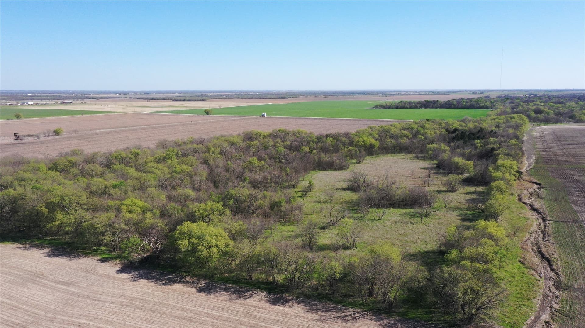 80.91 acres in Grayson County - photo 18