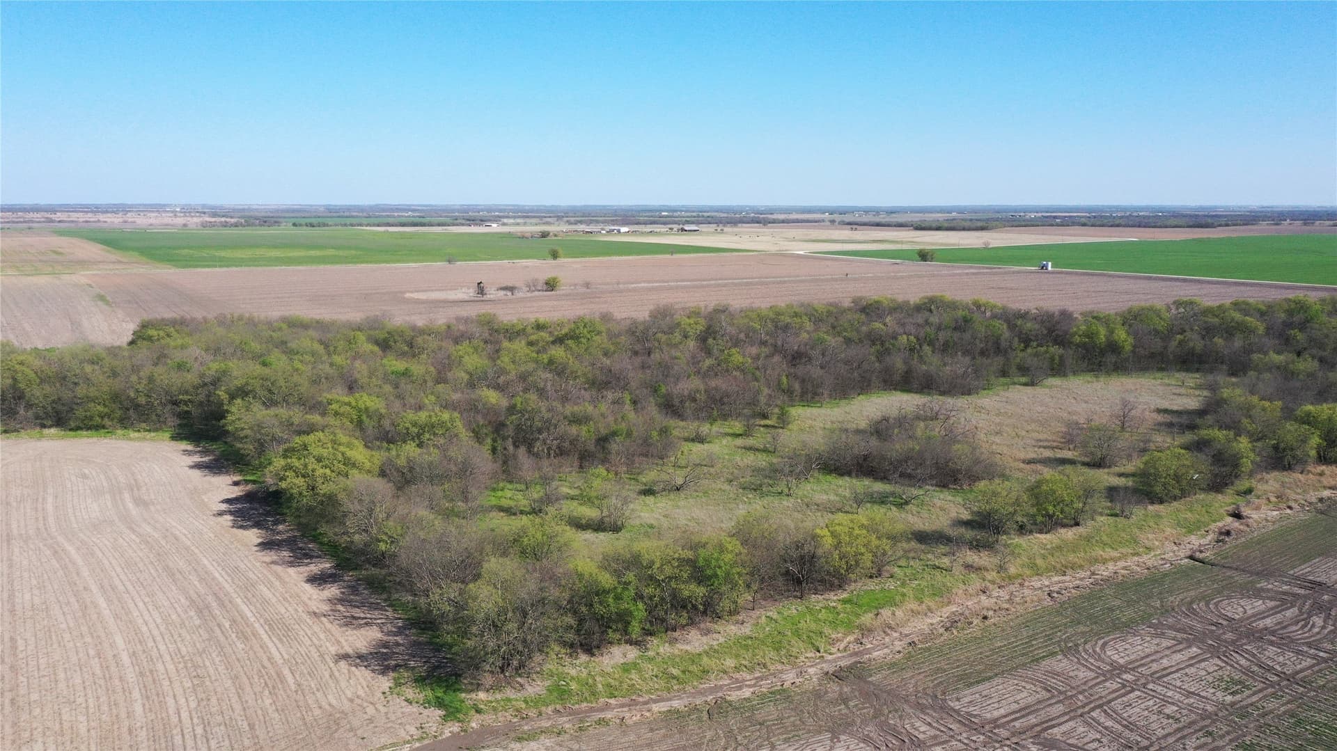 80.91 acres in Grayson County - photo 19