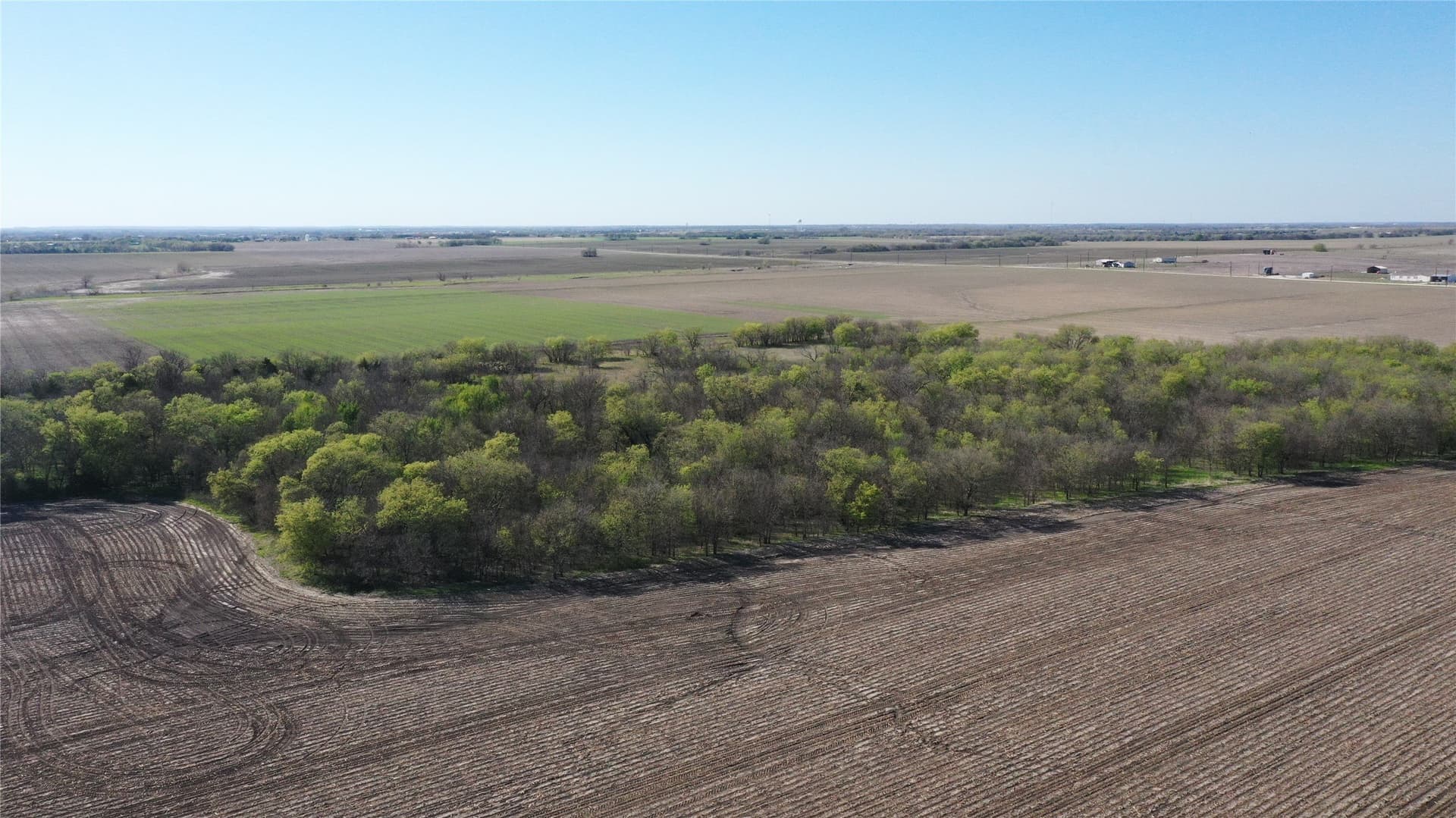80.91 acres in Grayson County - photo 15