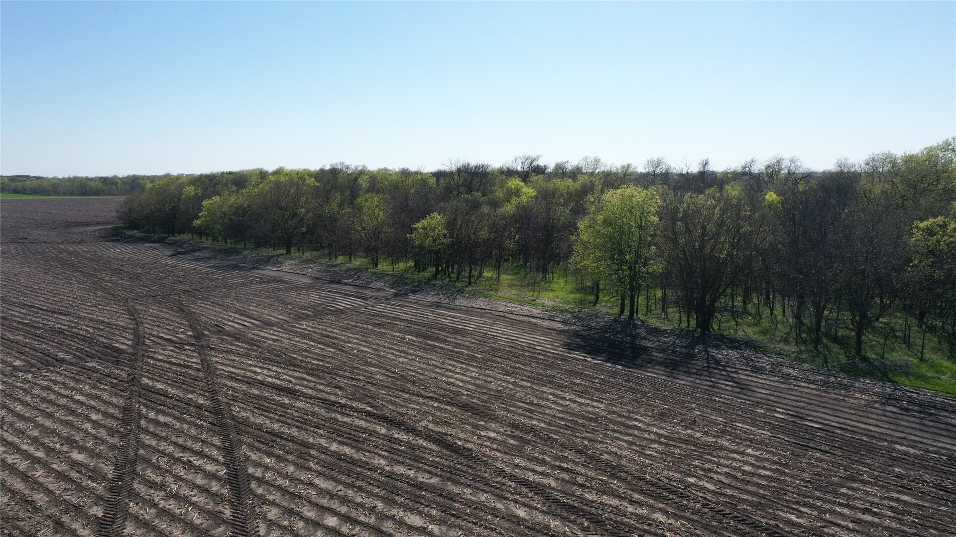 80.91 acres in Grayson County - photo 22
