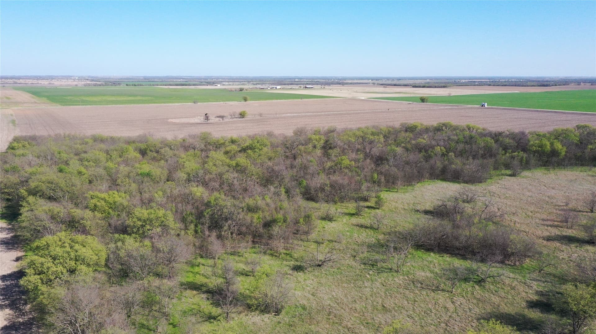 80.91 acres in Grayson County - photo 20