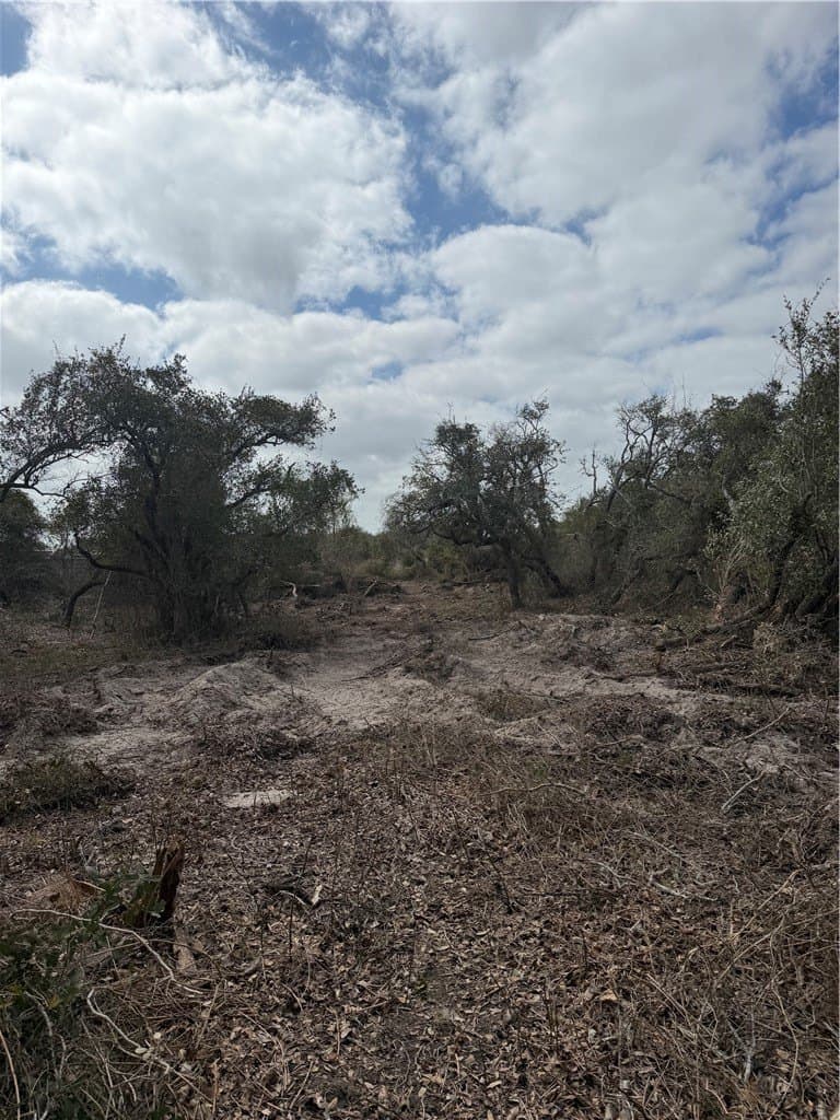 5 acres in Aransas County - photo 6