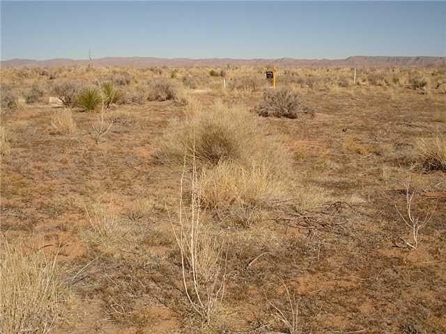 473.96 acres in Culberson County featured view