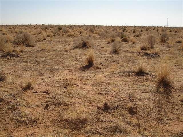 473.96 acres in Culberson County gallery image 4