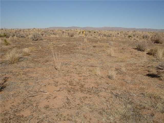 473.96 acres in Culberson County gallery image 2