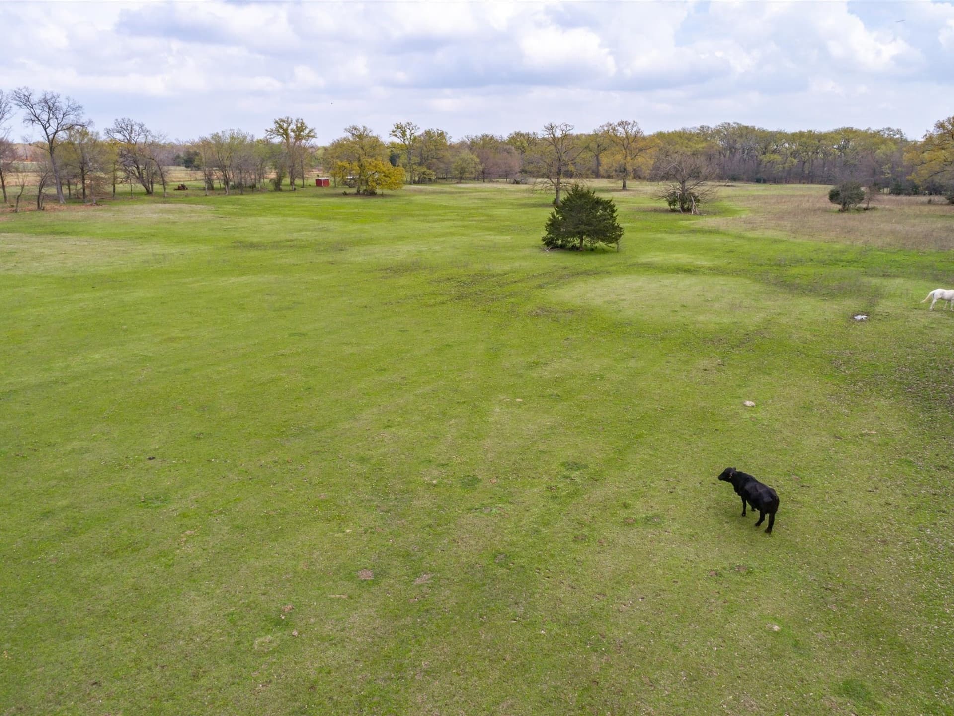 18.72 acres in Wood County - photo 9