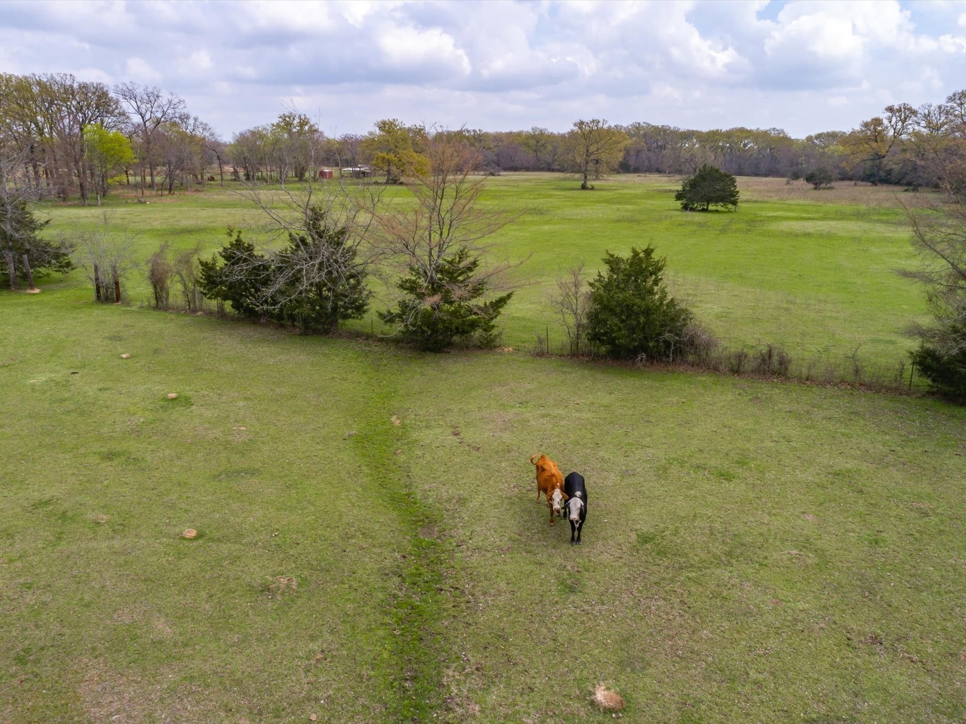 18.72 acres in Wood County - photo 8
