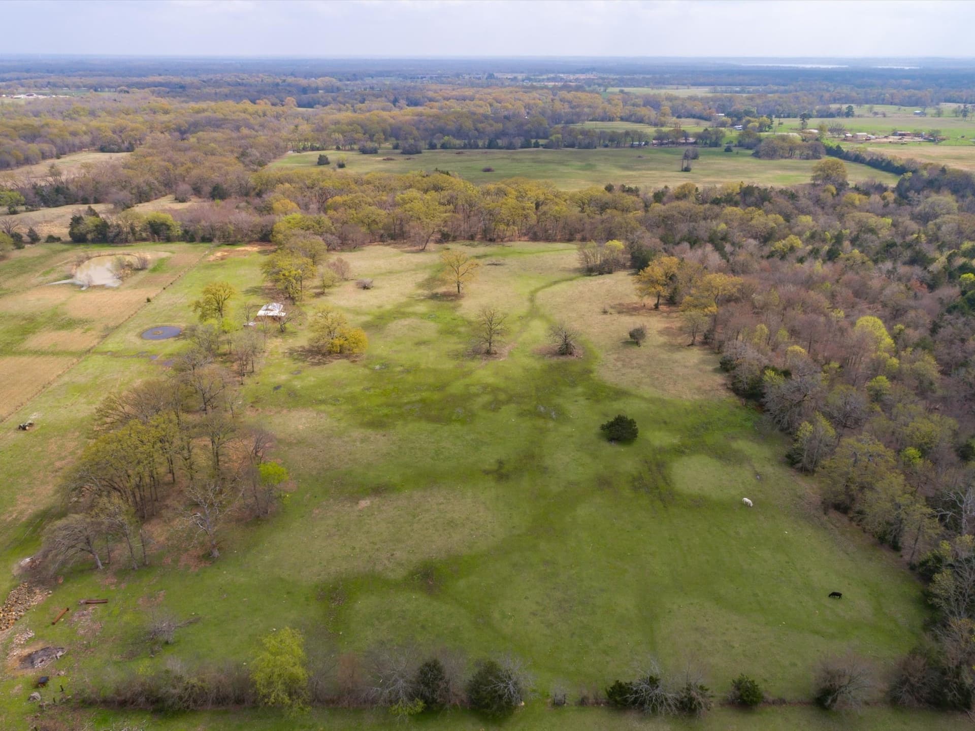 18.72 acres in Wood County - photo 6