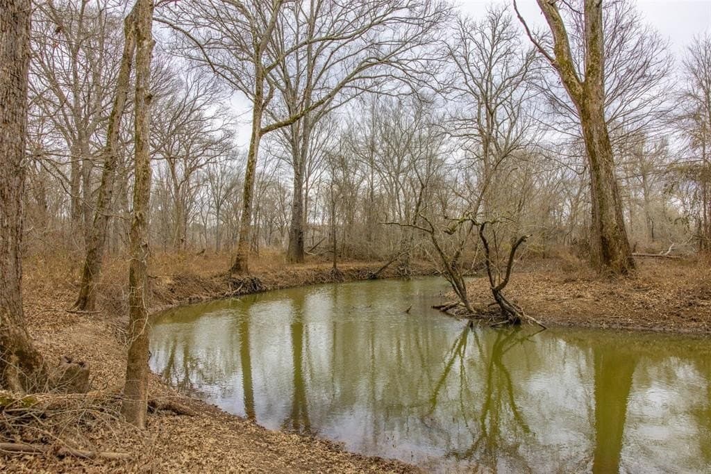 131.1 acres in Cherokee County gallery image 4